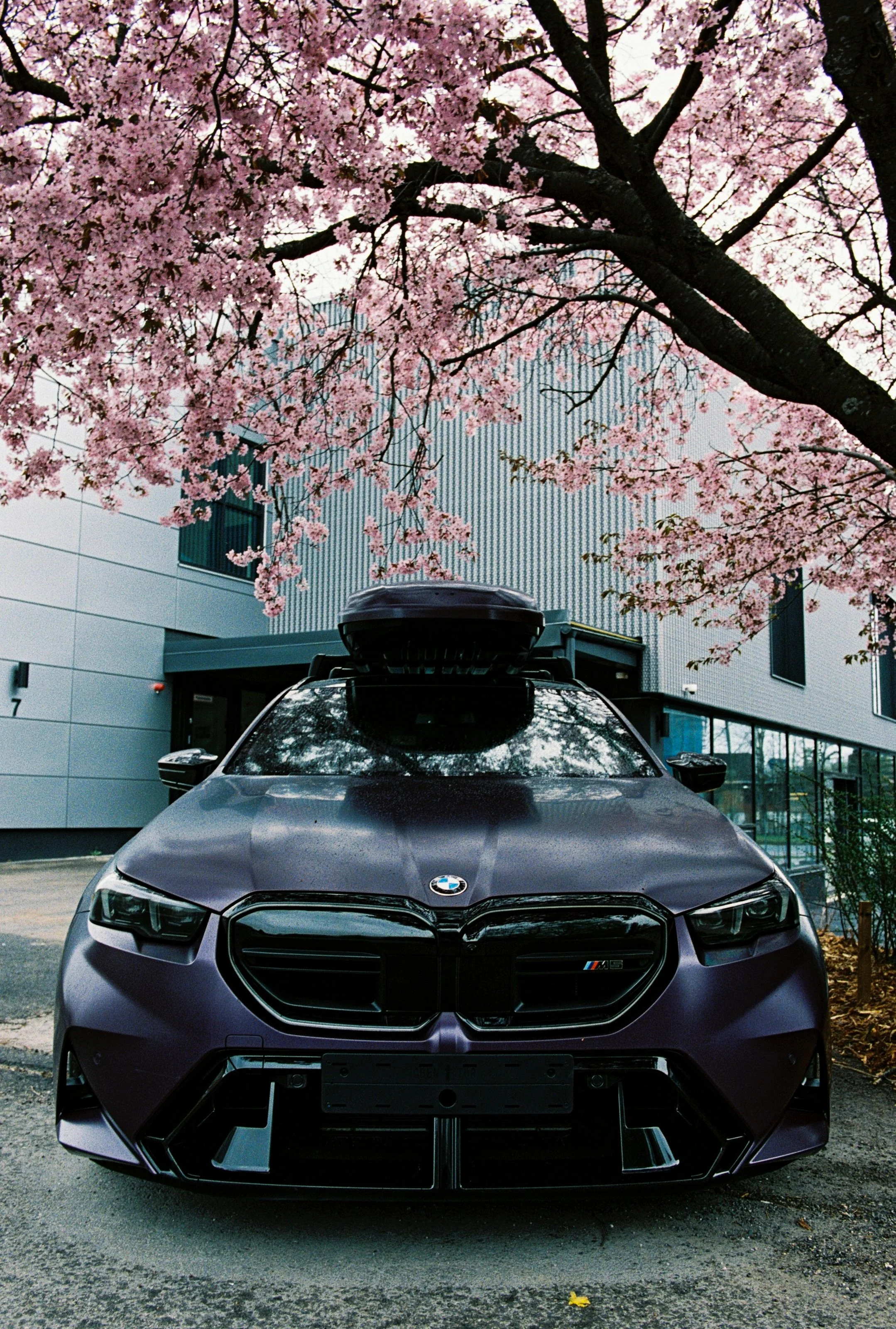 bmw_m5 (4 of 8).jpg