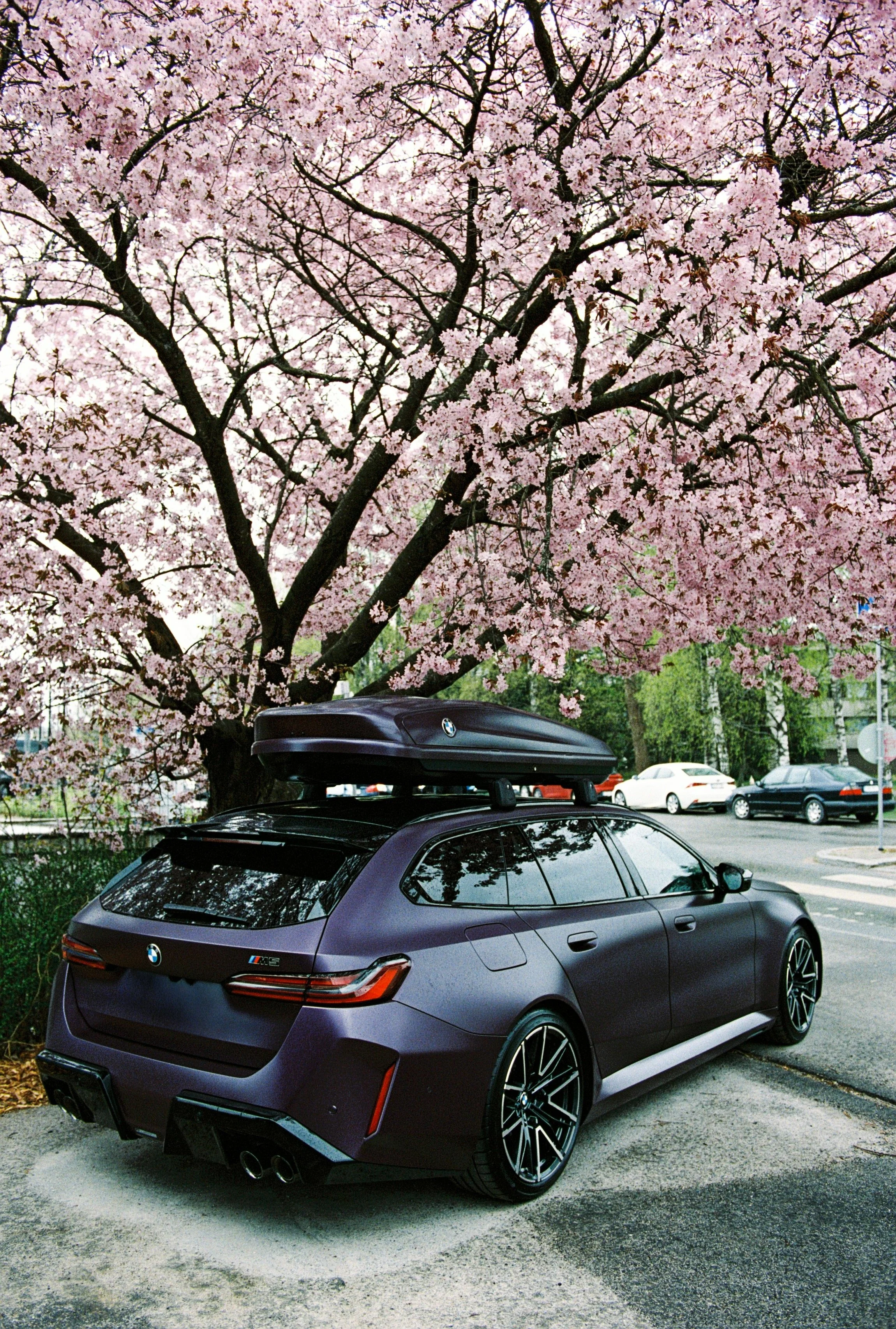 bmw_m5 (3 of 8).jpg