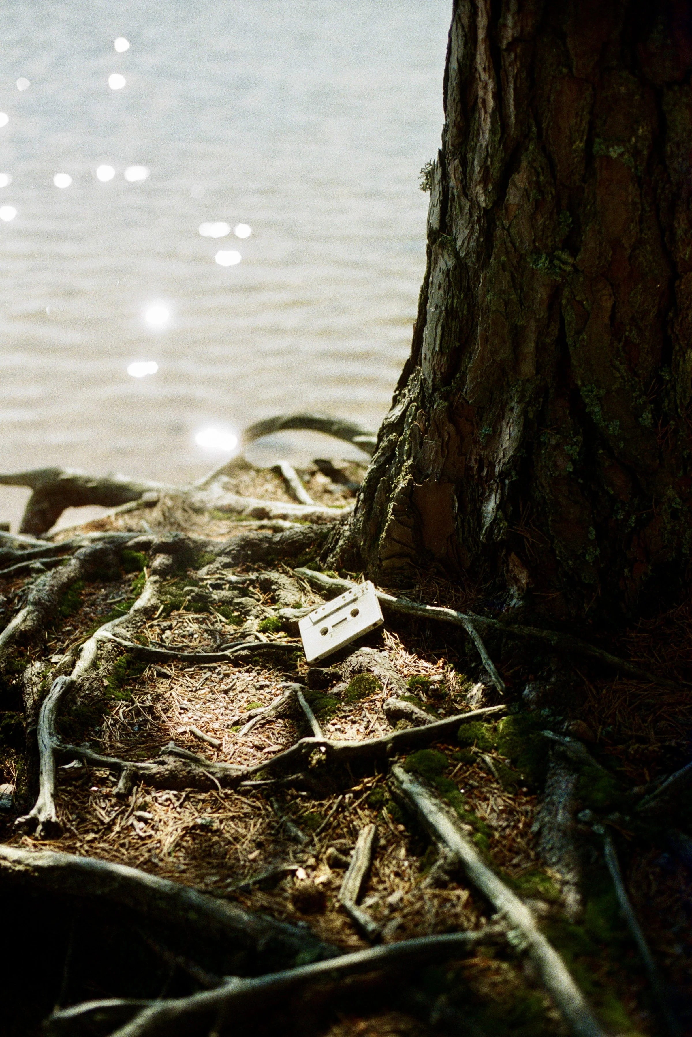 IMG_2172.JPG