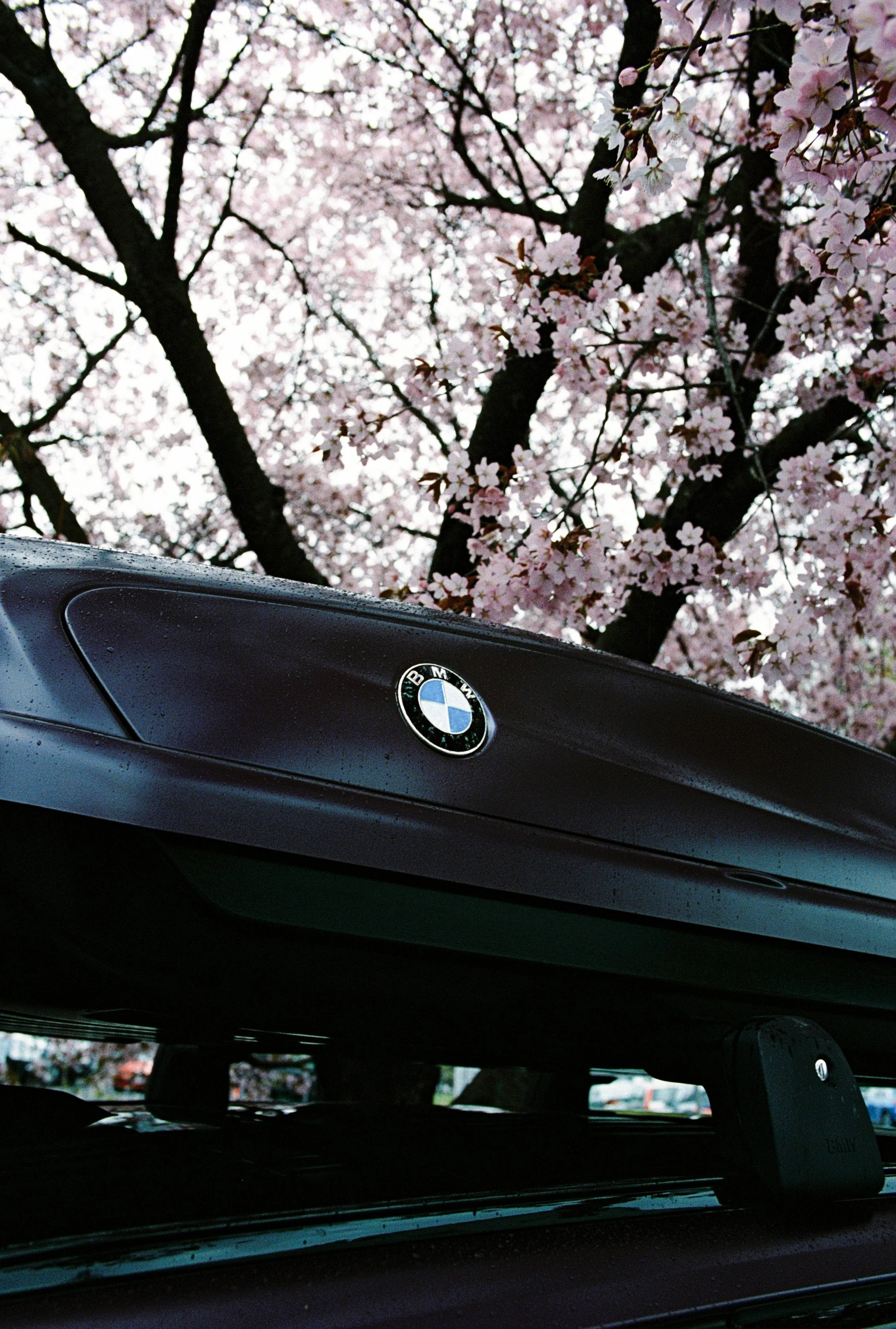 bmw_m5 (1 of 8).jpg