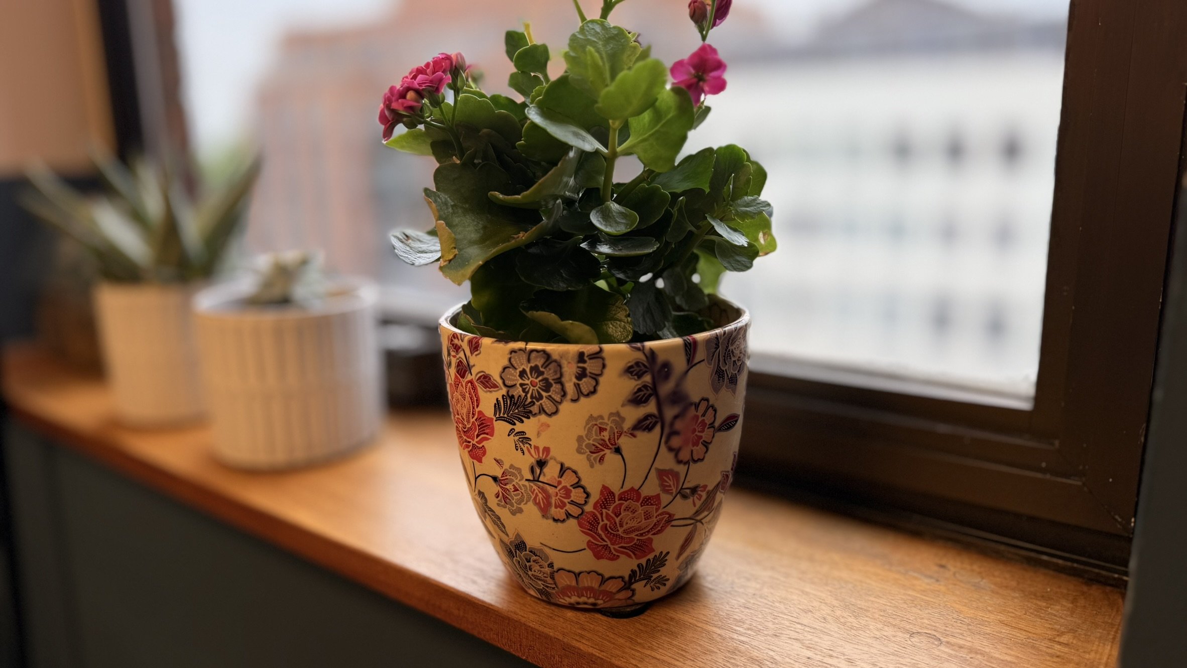 What To Expect In A First Therapy Session