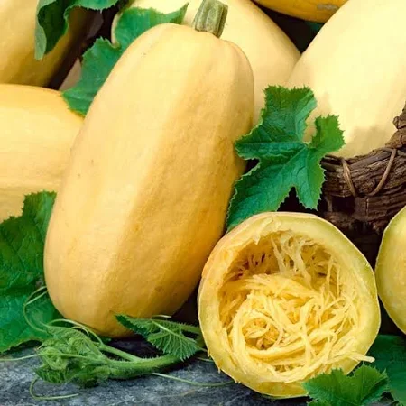 spaghetti squash.webp