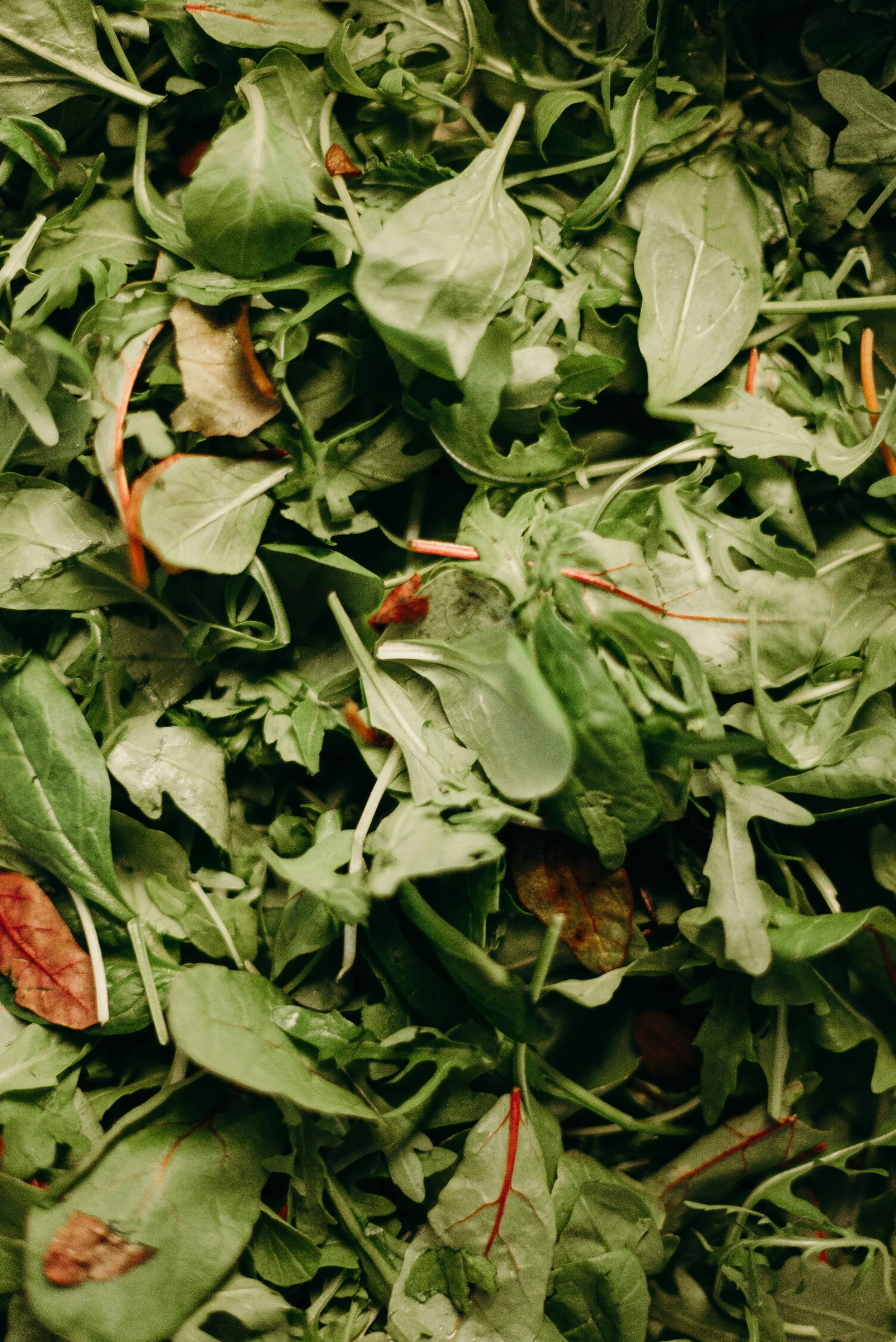 Salatmix, pose 200gr.