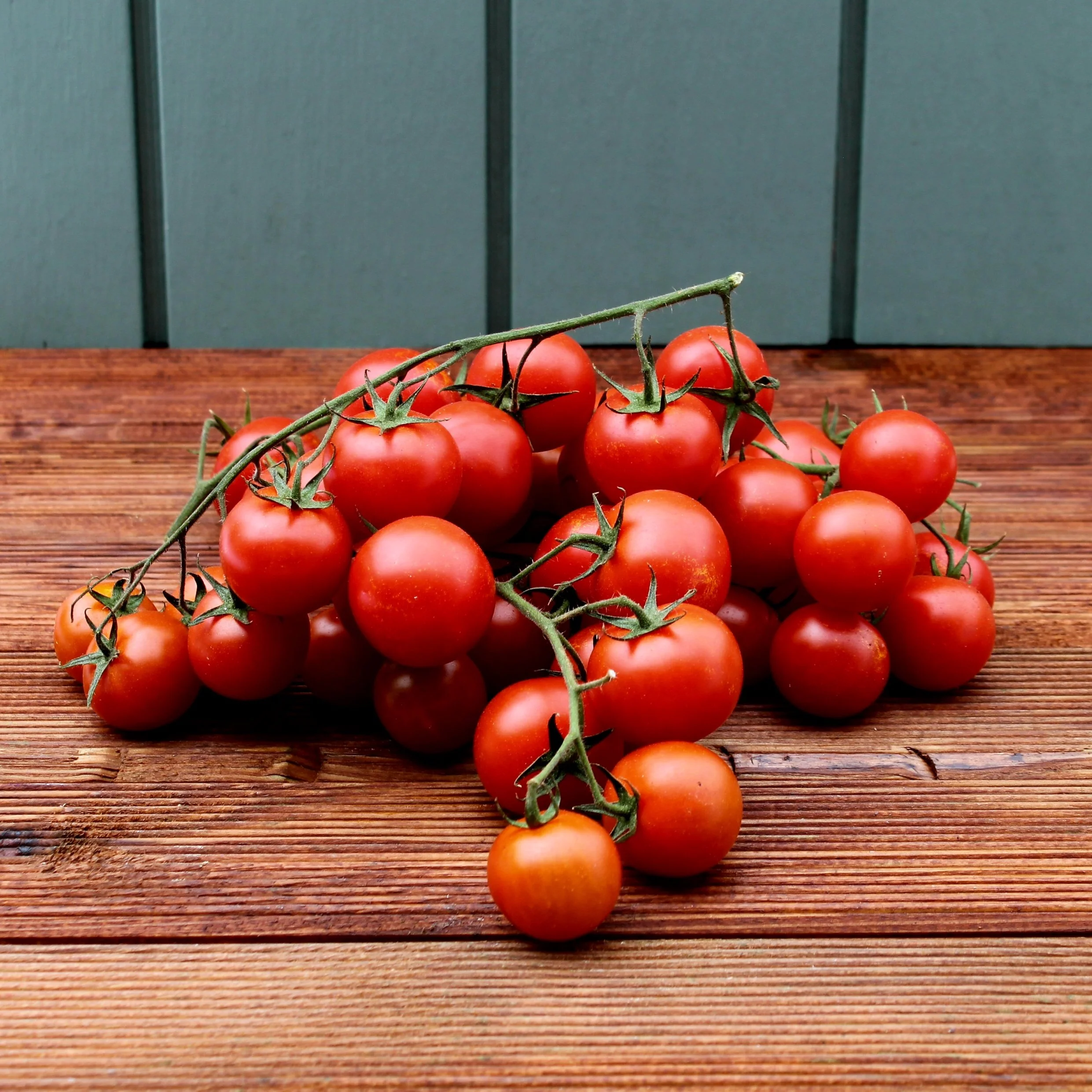 Tomater,-Cherry-paa-stilk.JPG