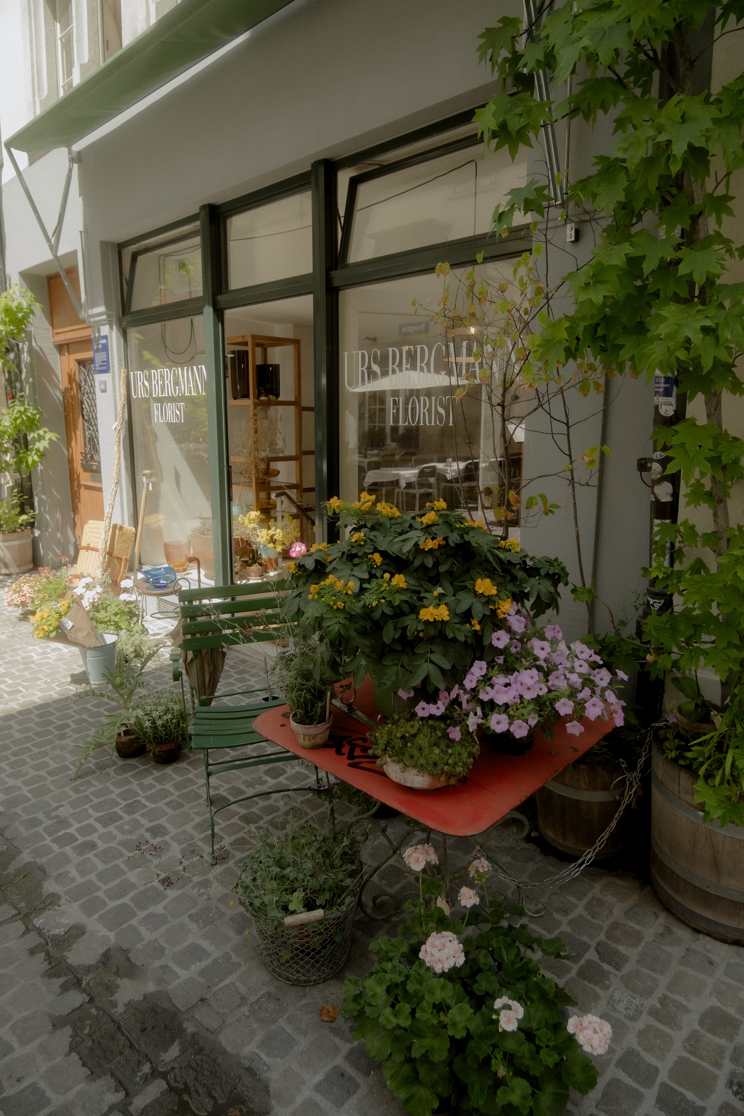 DSCF5130.jpg