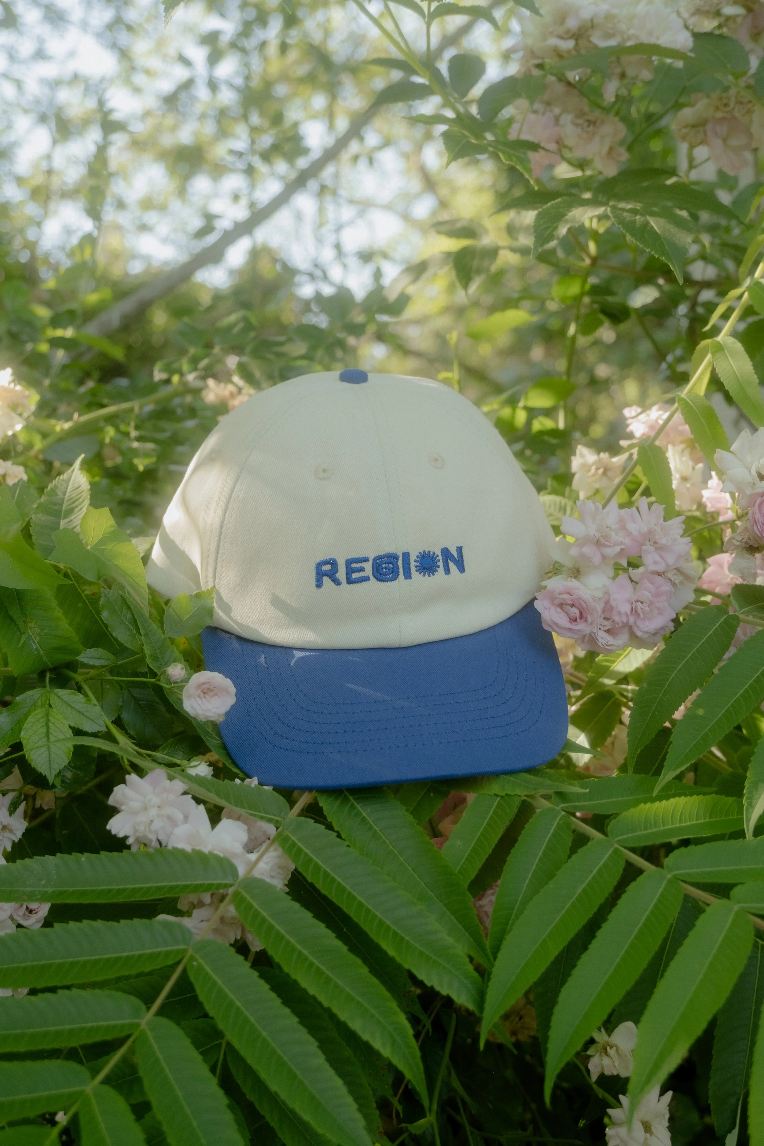 Origins Cap