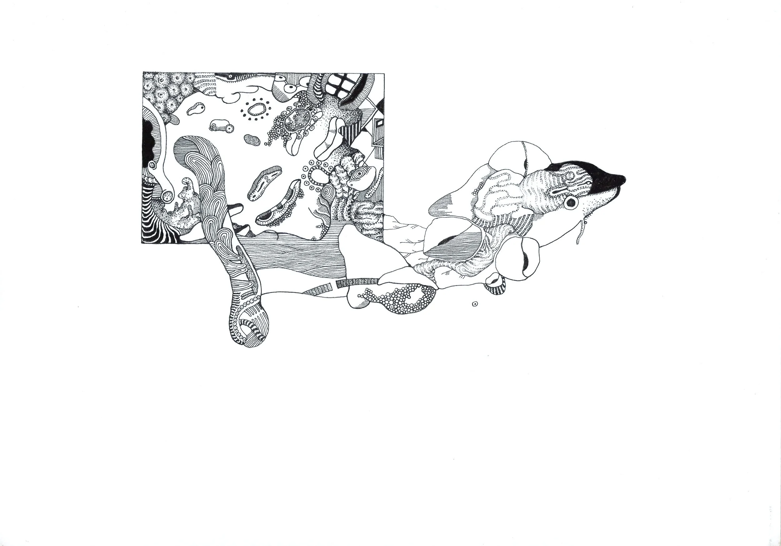 C3070-IC-4171865a.jpg