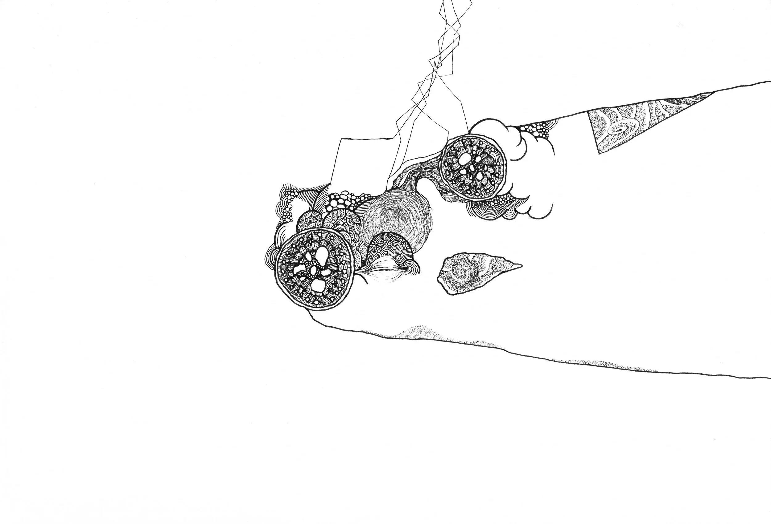 C3070-IC-4171875a.jpg