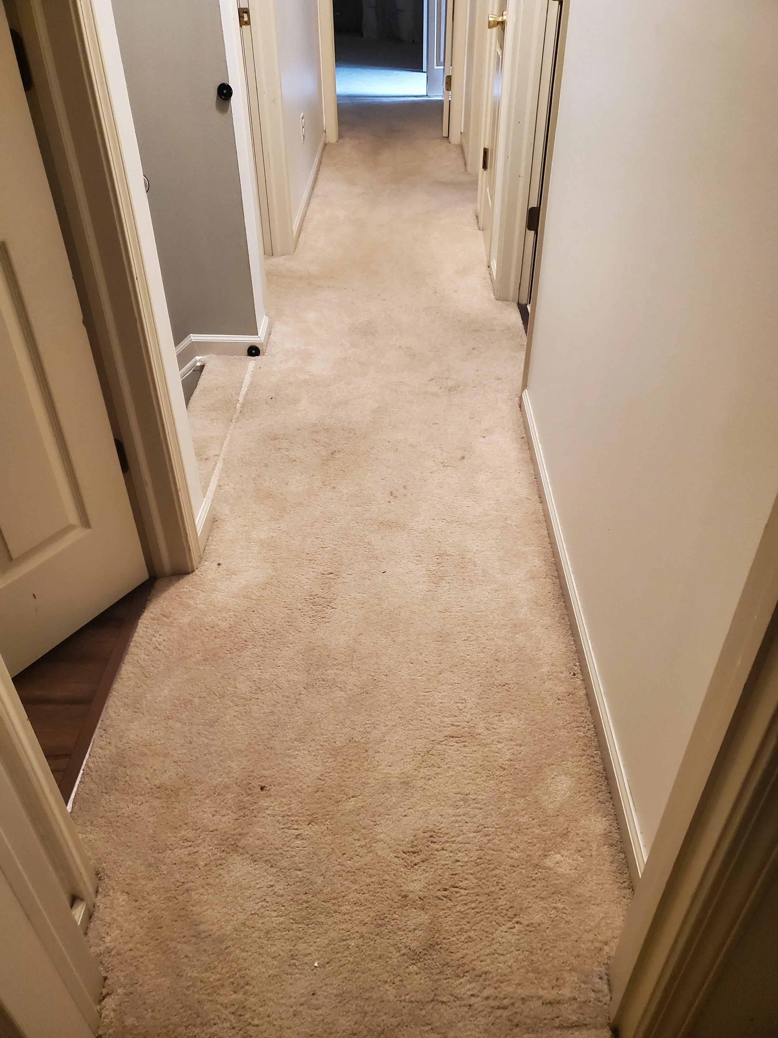 20240618_100655.jpg