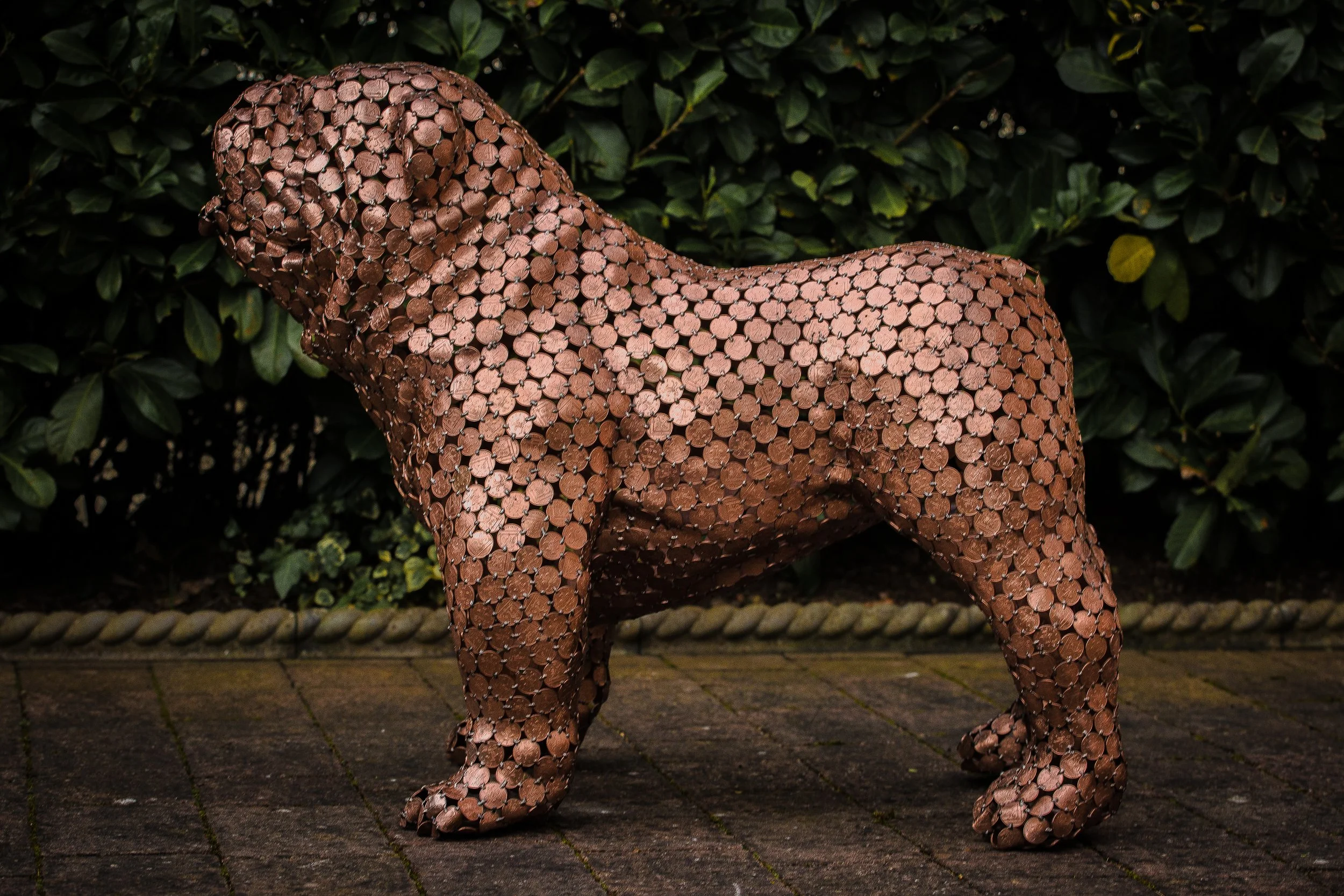 "Bull Dog," a stunning larger-than-life sculpture of a pet bulldog created by Shaun Gagg using primarily welded 2p coins. This commissioned piece brought great joy to its owner.