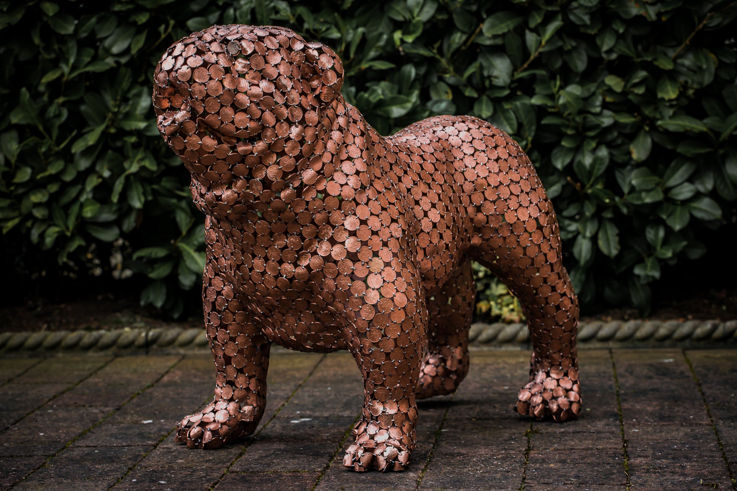 "Bull Dog," a stunning larger-than-life sculpture of a pet bulldog created by Shaun Gagg using primarily welded 2p coins. This commissioned piece brought great joy to its owner.