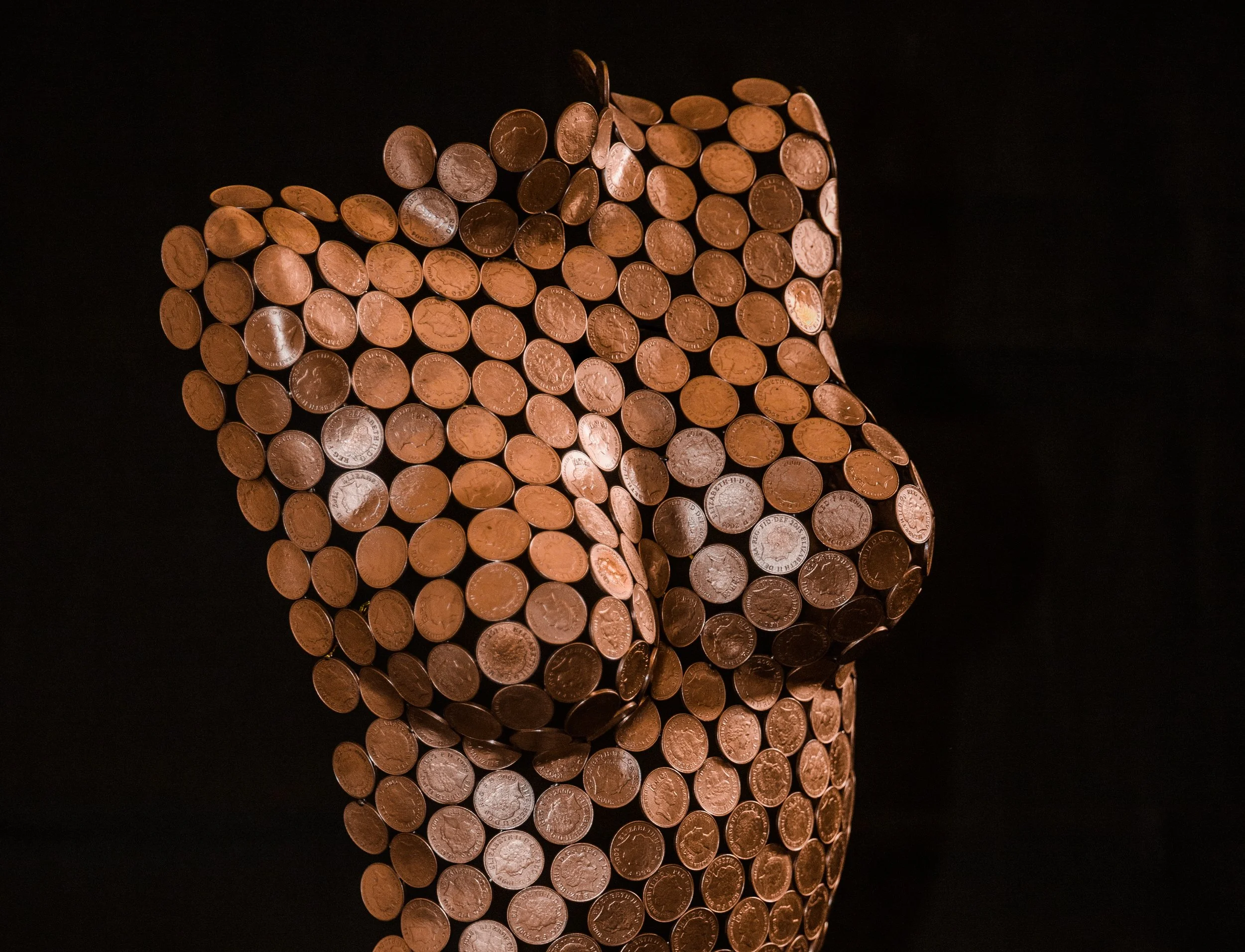 Torso close up.jpg