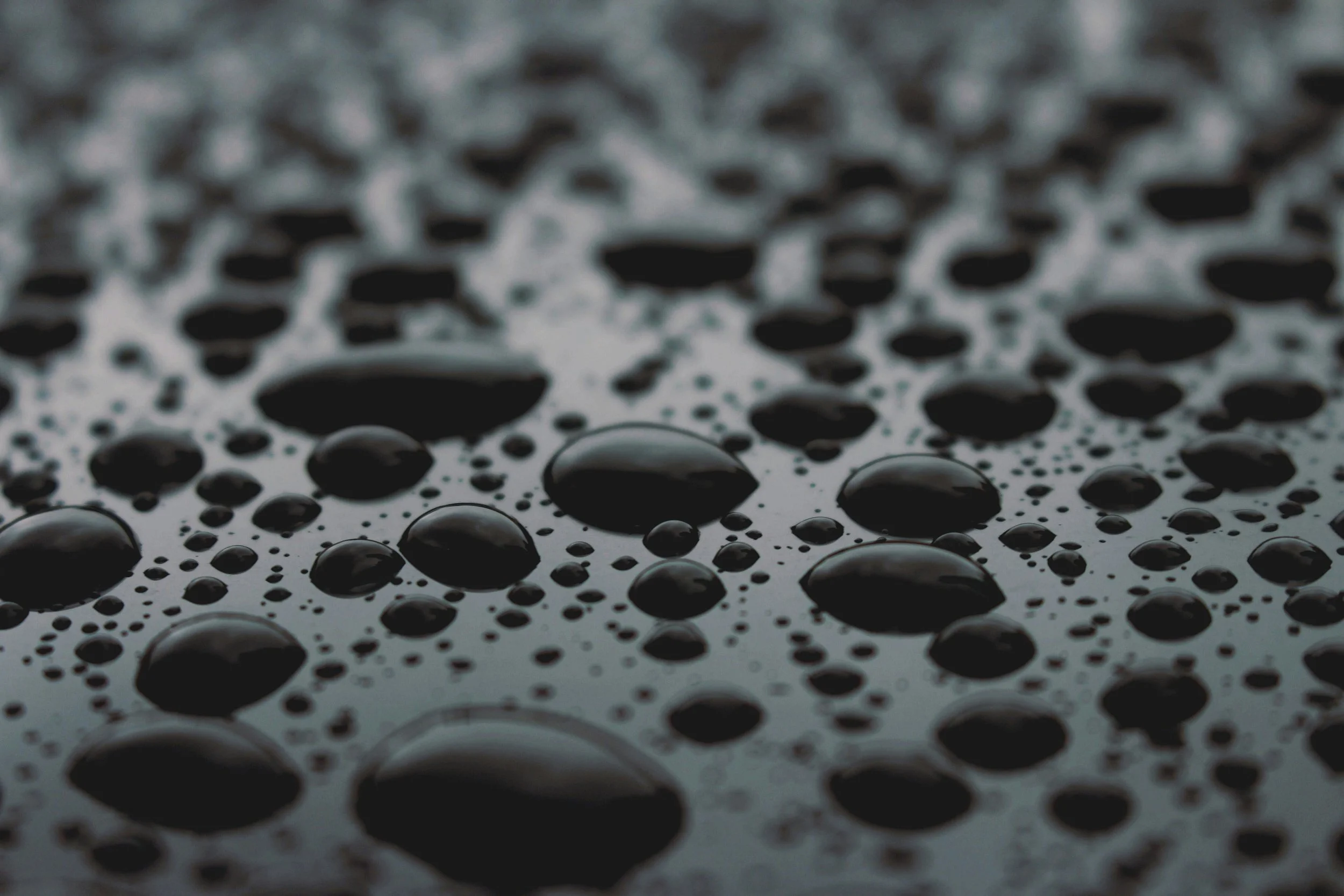 Close-up of water droplets on a dark surface.