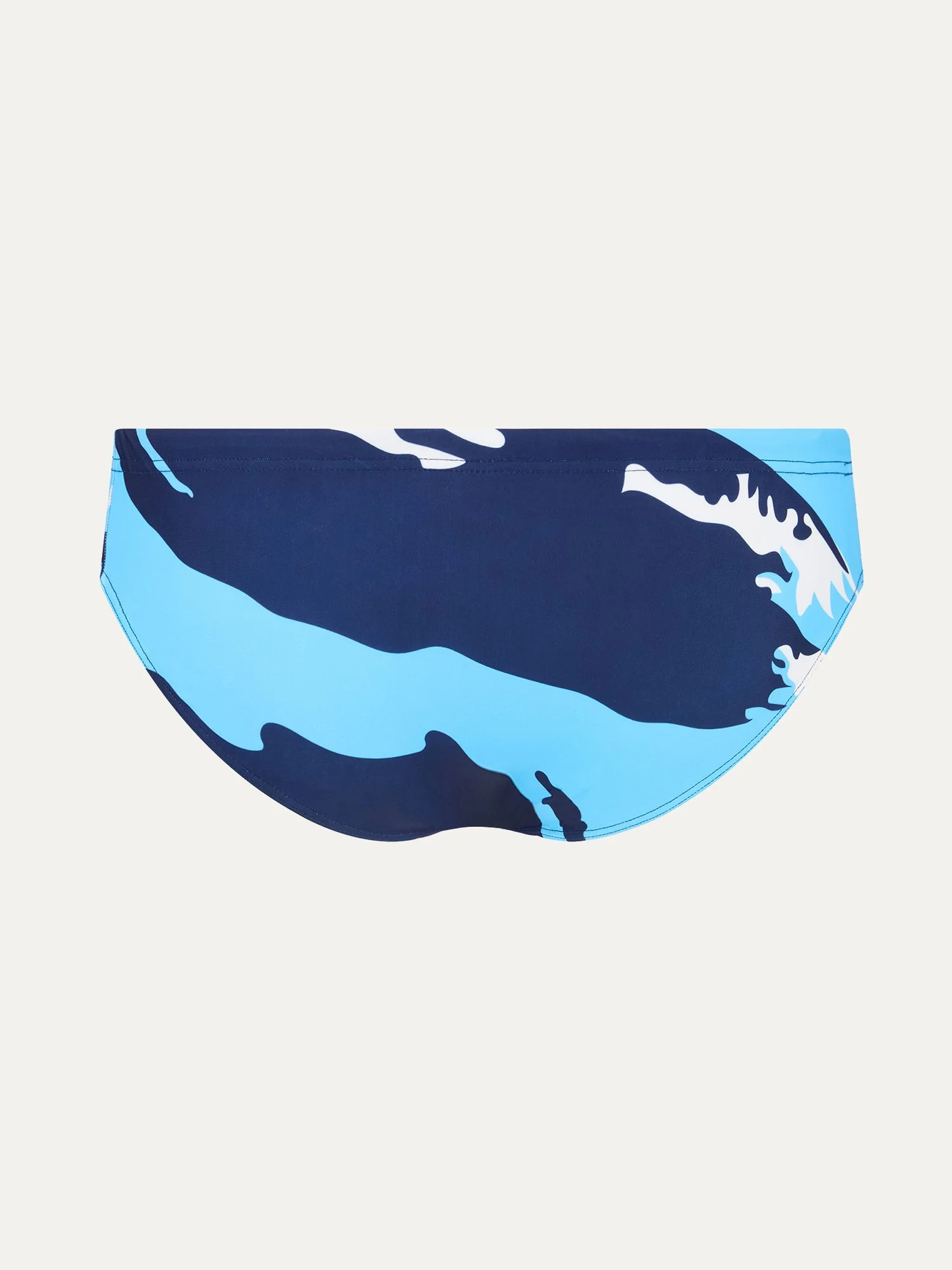 SWIMMING BRIEFS BACK.jpg