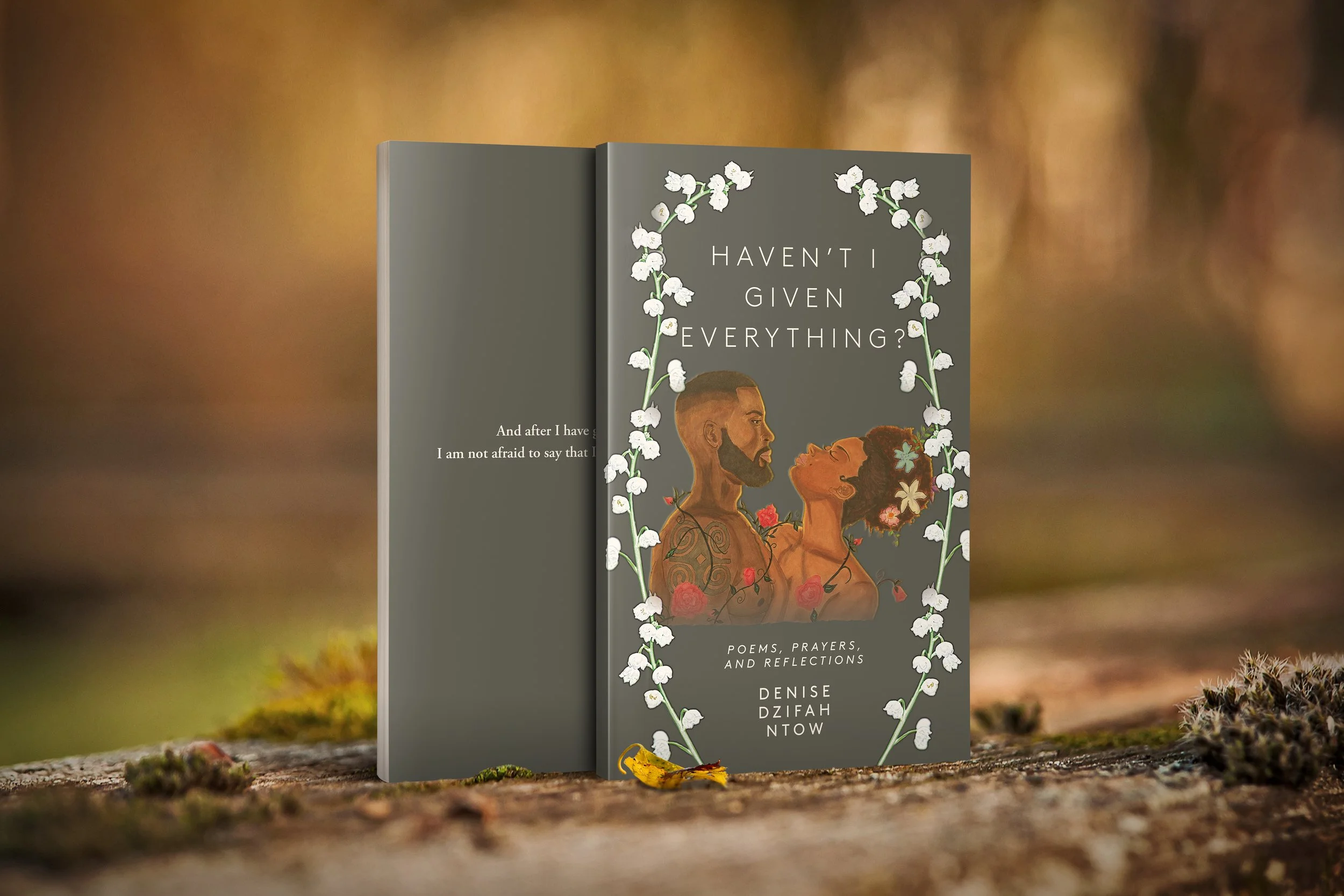 Haven't I Given Everything? (Book of Poems)