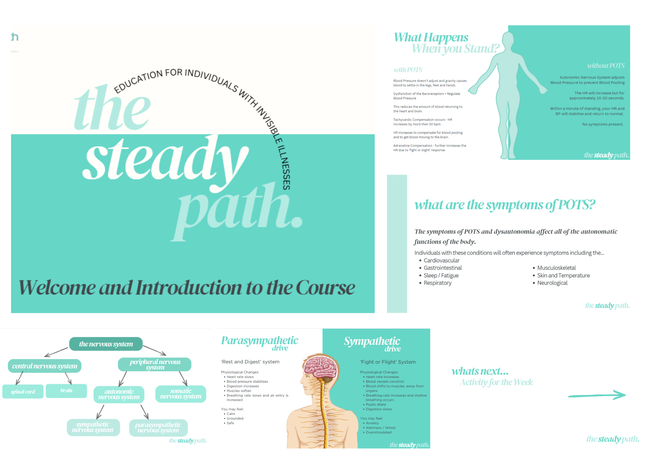 Educational infographic about the effects of standing versus sitting on blood pressure, heart rate, and autonomic nervous system.