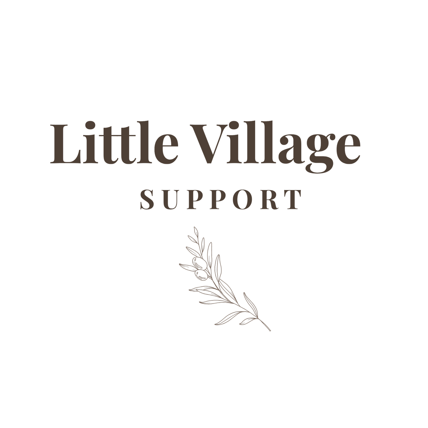 Little Village Support