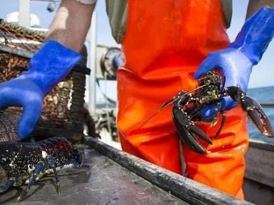 Lobstering