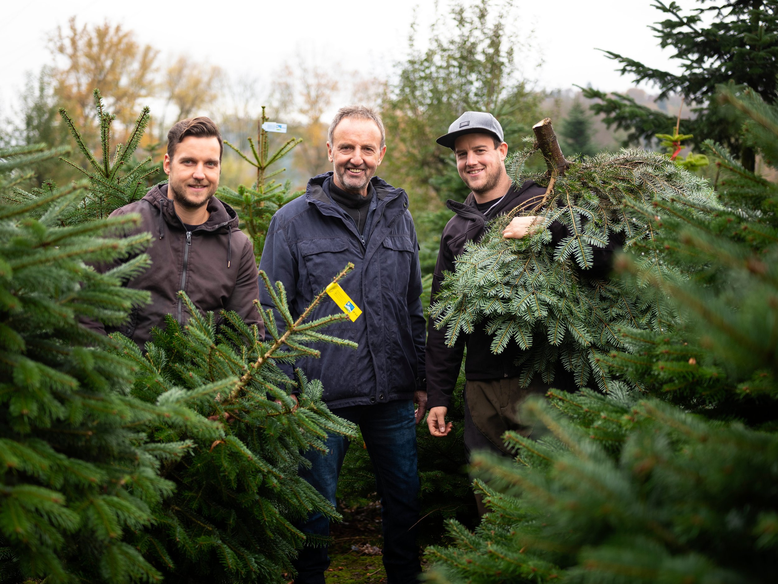 Drei Männer stehen zwischen Weihnachtsbäumen im Freien, von Keller Weihnachtsbäume GmbH