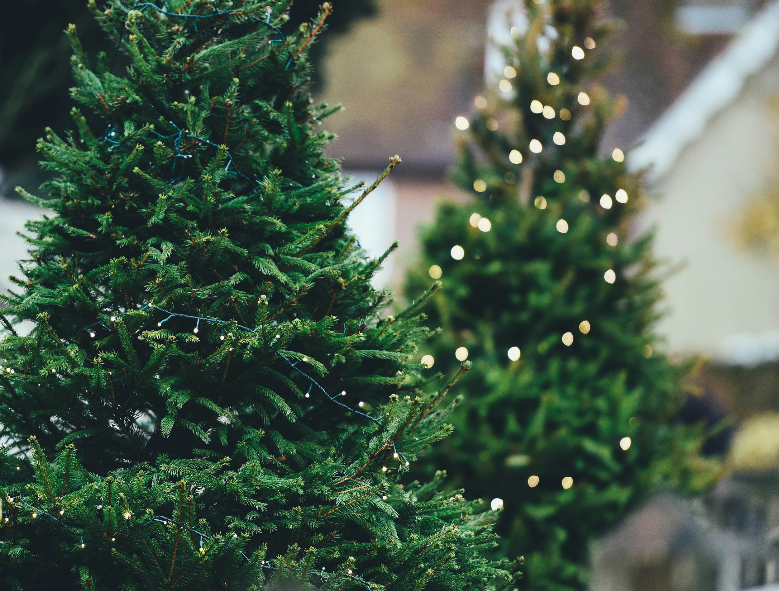 Bald steht Weihnachten vor der Tür, die Weihnachtsdeko ist bereits vorhanden.