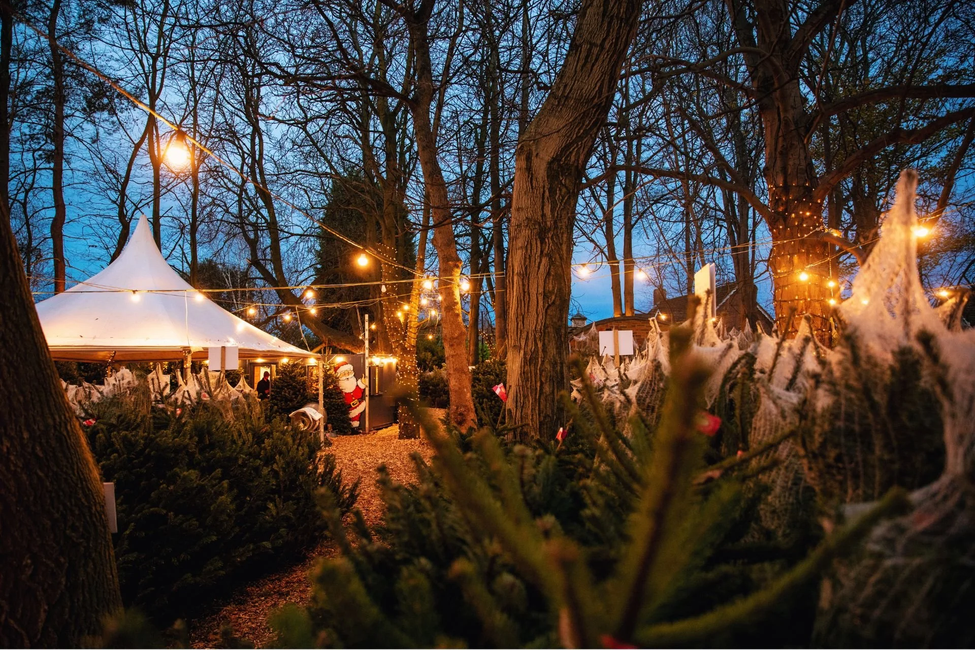 Weihnachtliche Lichterdekoration in einem Park bei Dämmerung. Es gibt einen großen weißen Zeltpavillon, Weihnachtsdekorationen, Lichterketten in den Bäumen und weihnachtliche Figuren.