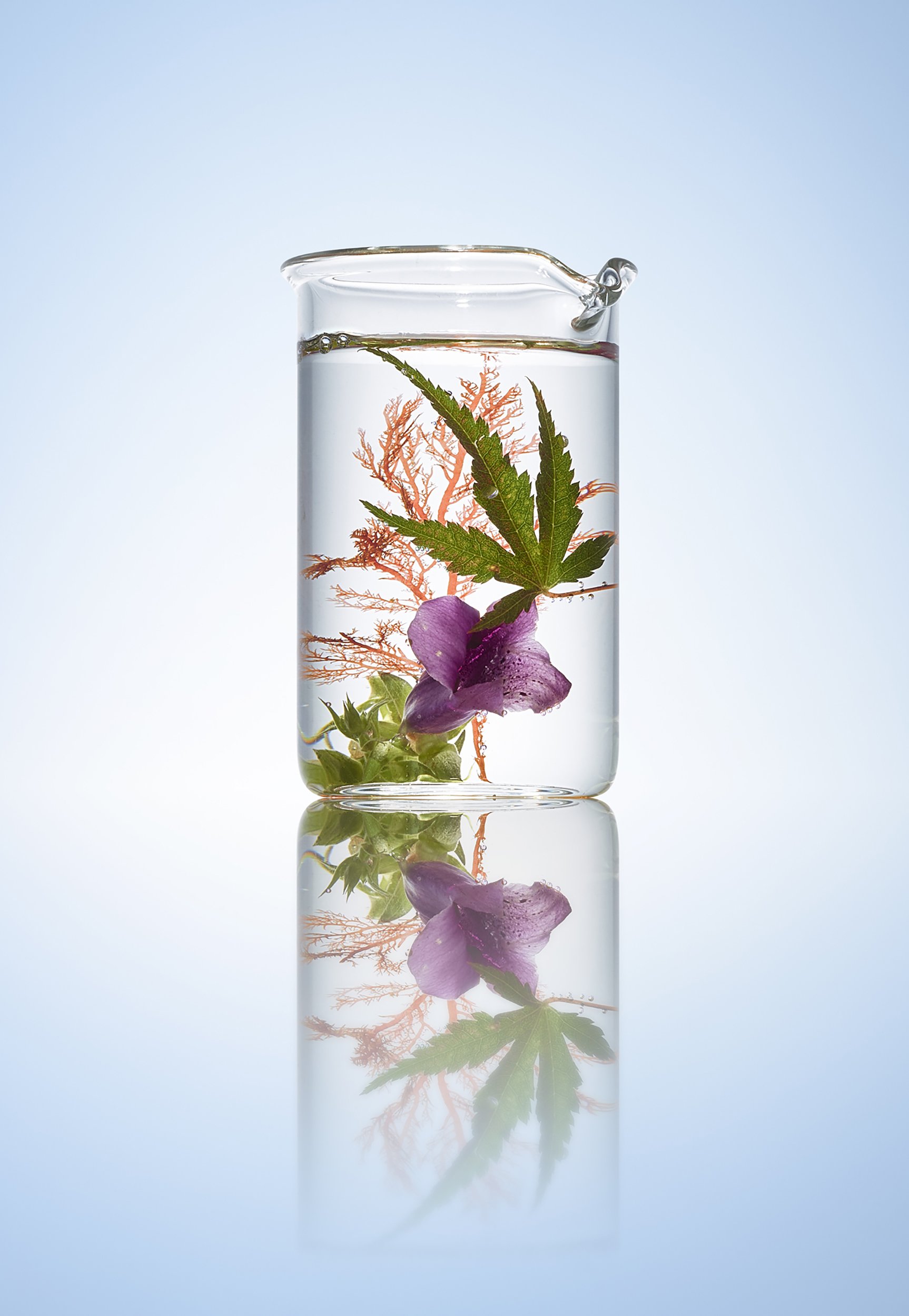 Still Life photograph by photographer Paul Zak of a scientific glass beaker with various flowers floating in water.