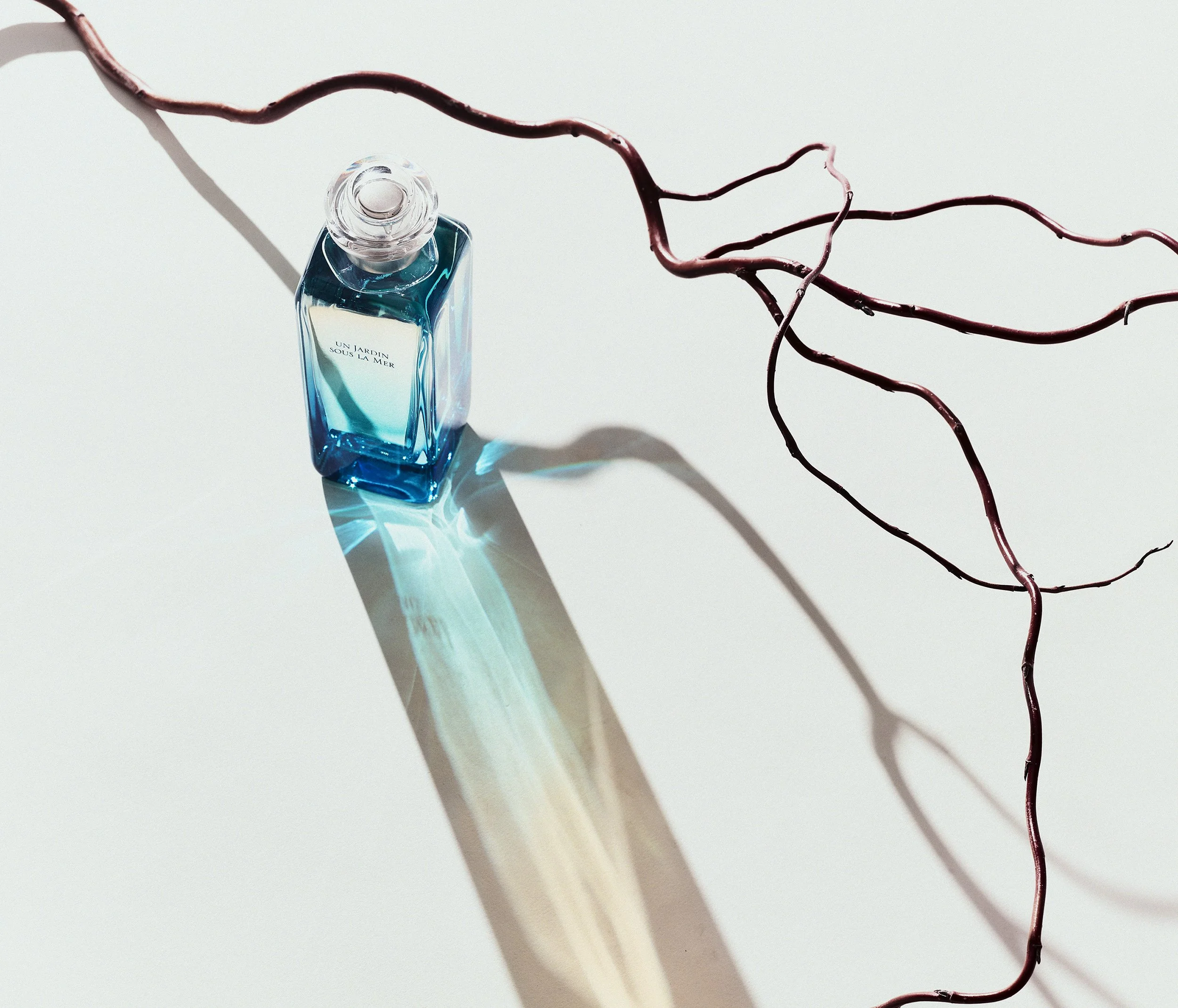 Still Life photograph by photographer Paul Zak of a perfume bottle for Telegraph Luxury Magazine.