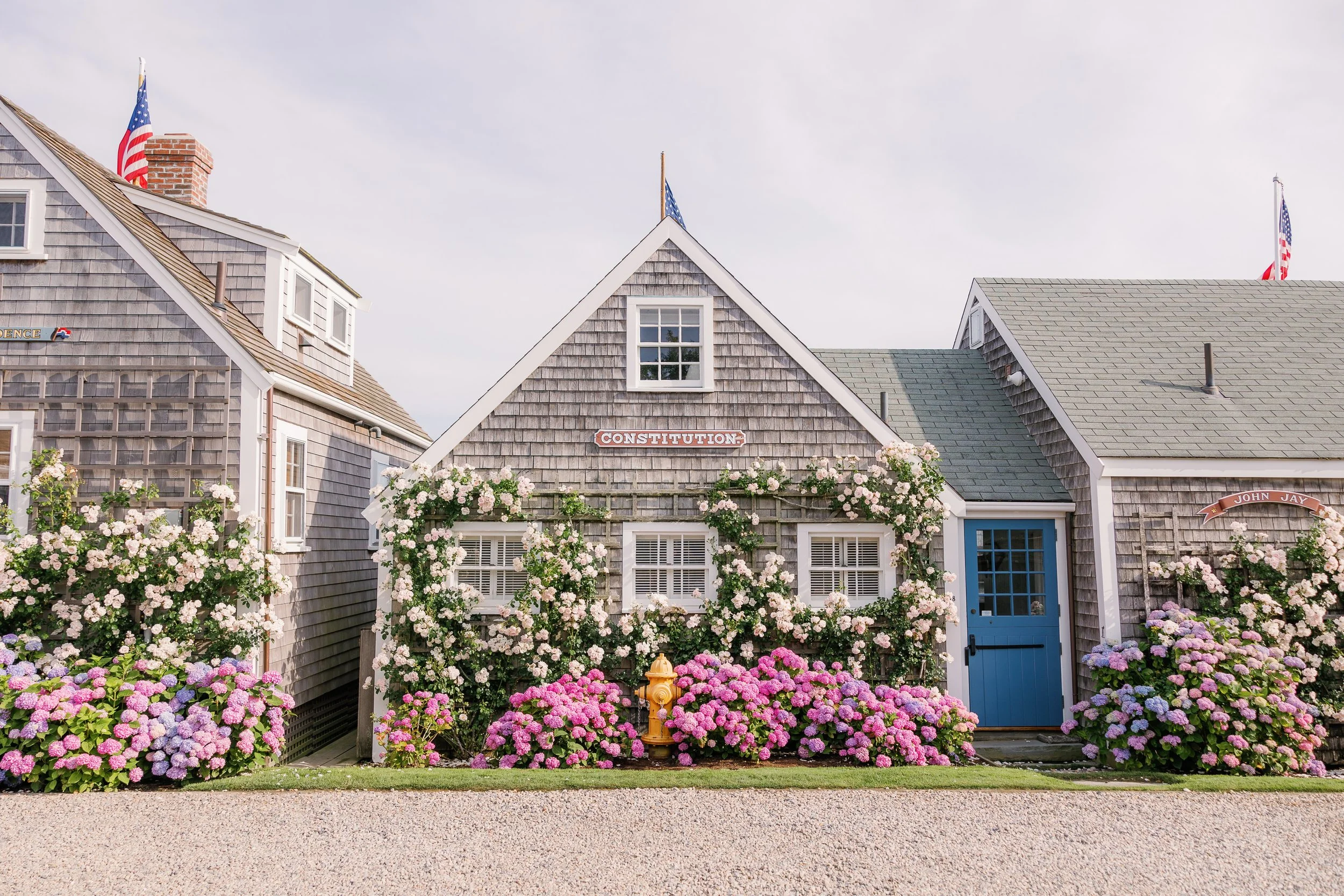 A house covered in gray wooden shingles with a blue door, surrounded by blooming pink and purple hydrangeas, with American flags on the roof and a sign near the chimney that reads 'Constitution'.