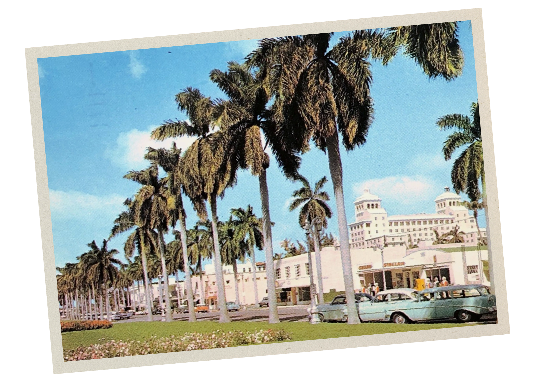 Tall palm trees lined along a street with vintage cars parked nearby, and a large white hotel in the background under a blue sky with some clouds.