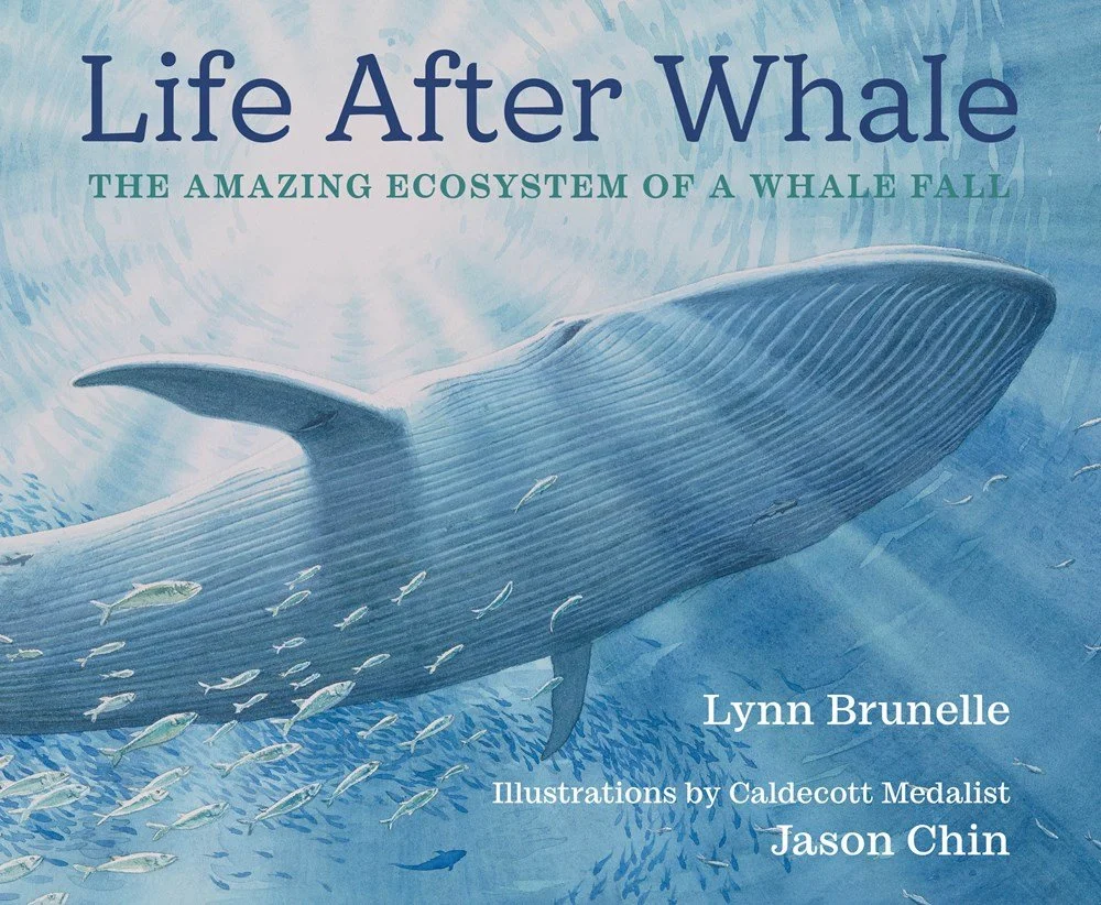 lifeafterwhale.jpg