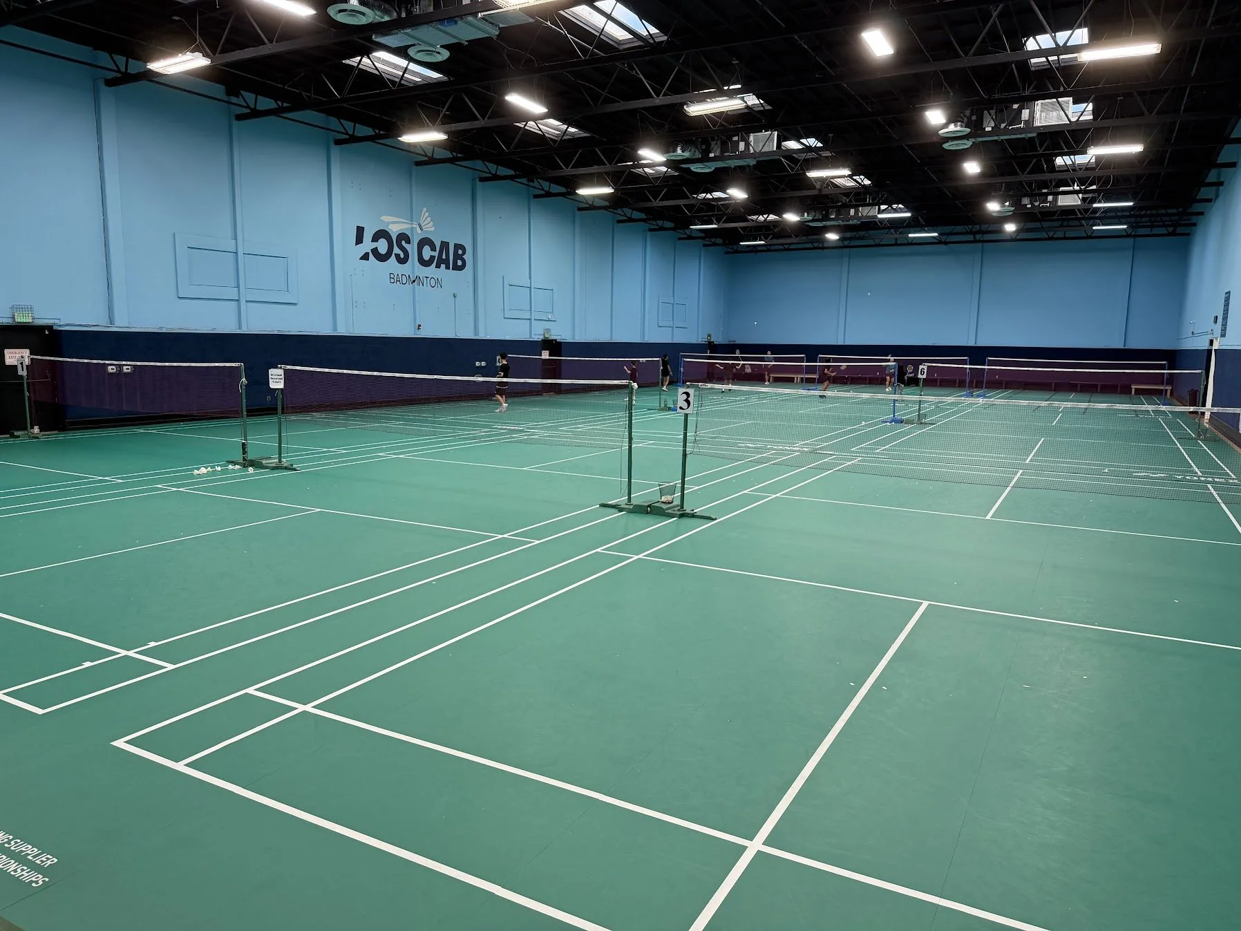 Badminton birdies on a court