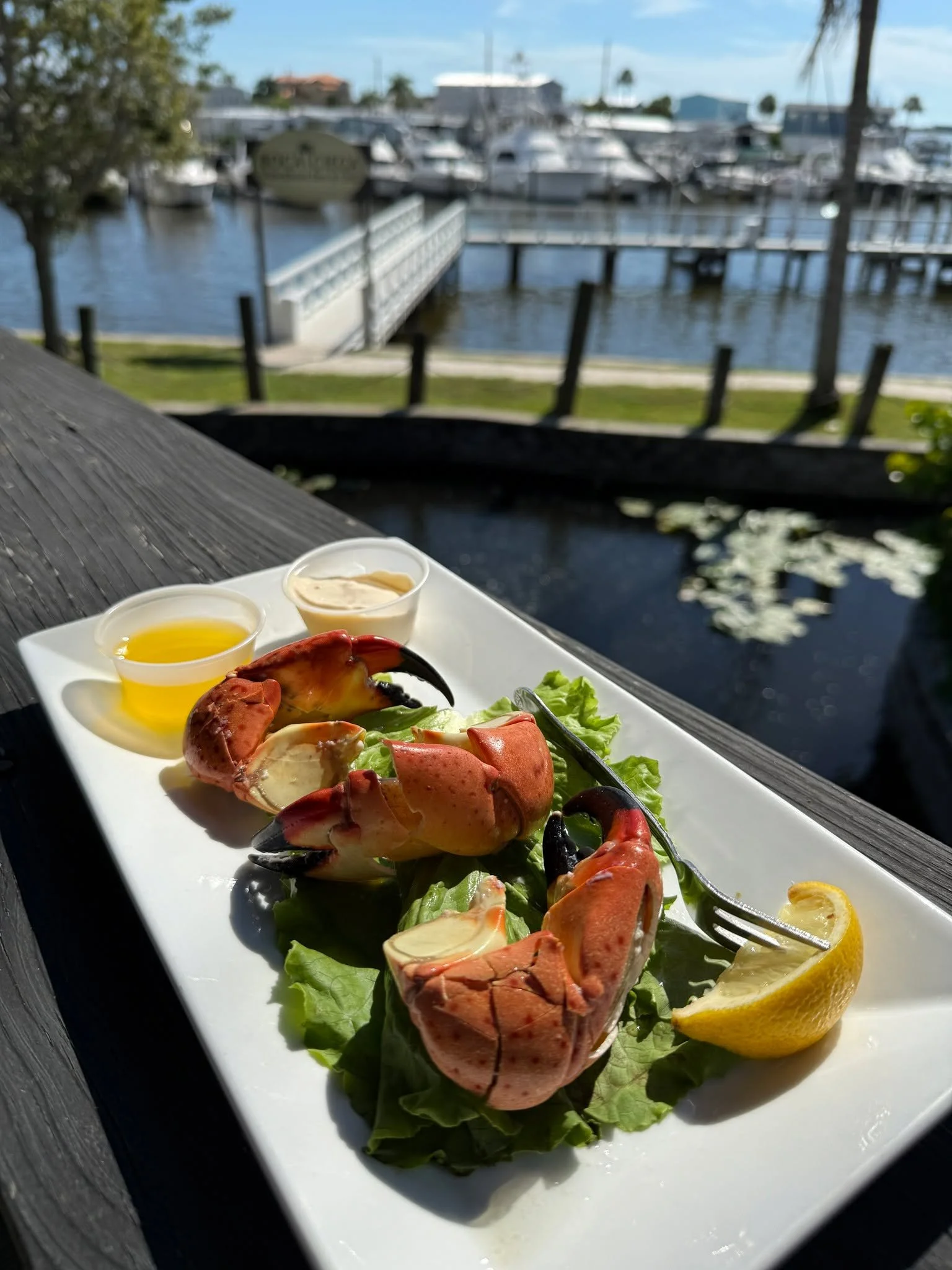 Not to be shellfish, but stone crab season is here! 🦀

Fresh stone crab claws are back on the menu at Boca Ciega. Grab your fellow seafood lovers and come get cracking!