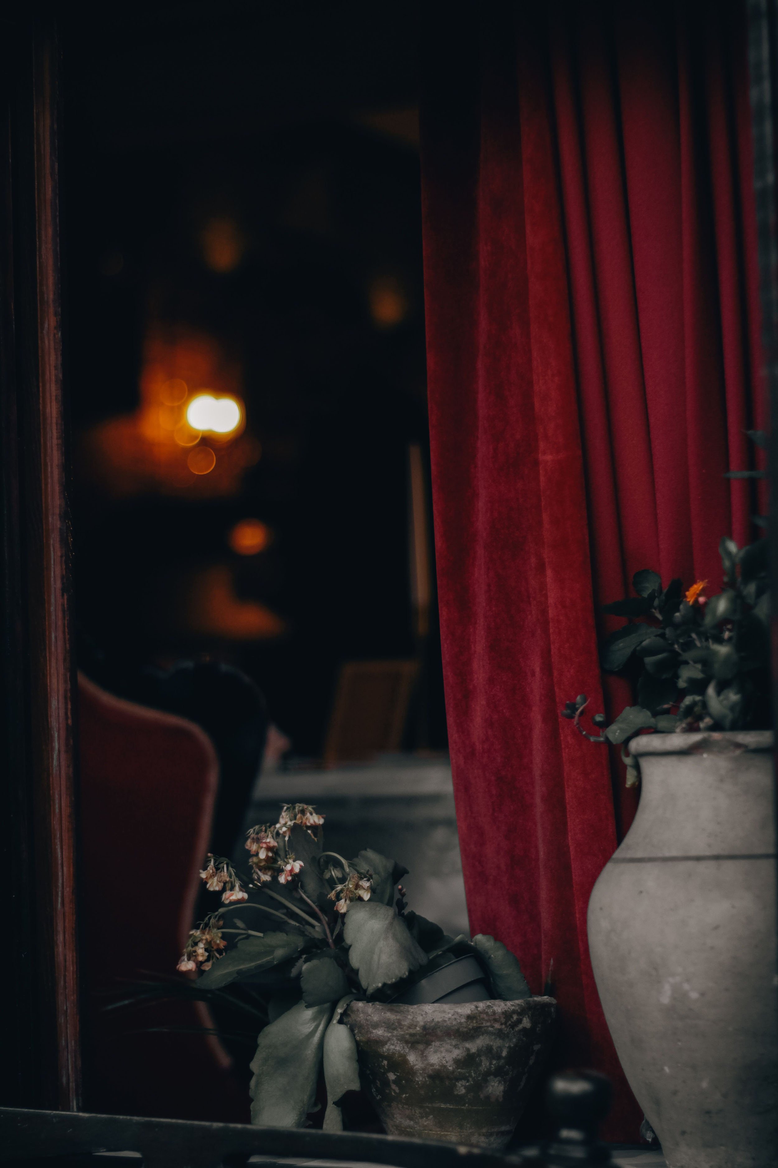 A dimly lit room with red curtains, potted plants on a table, and a blurred background with warm lights.