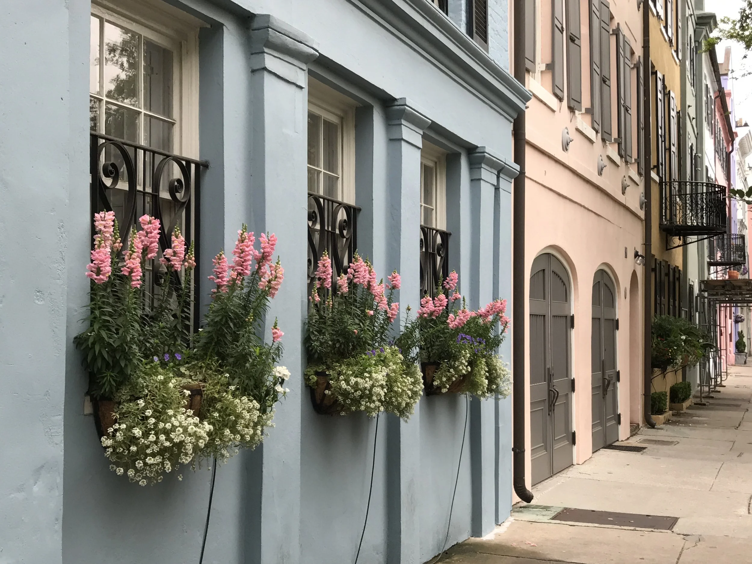 charleston sC