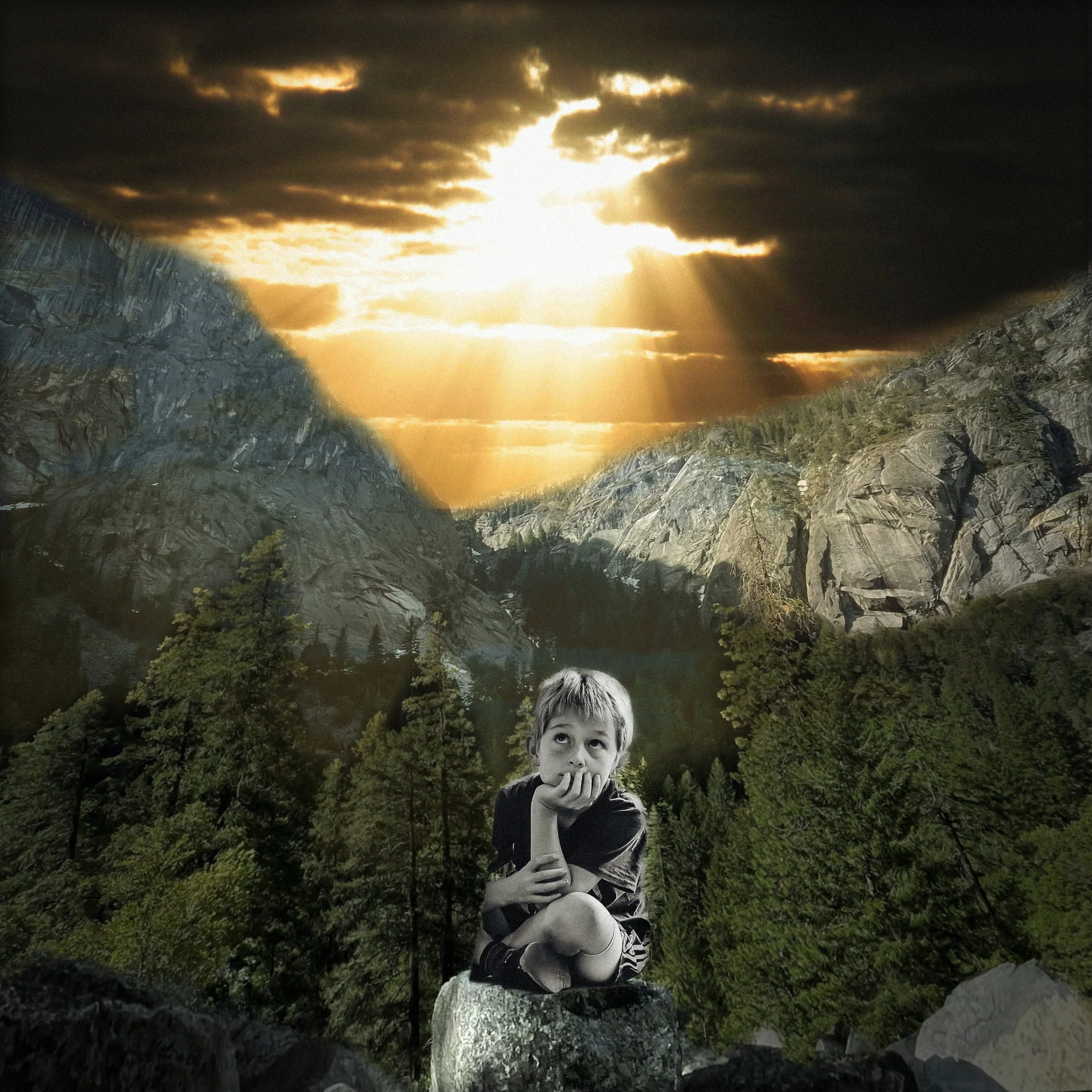Vinyl cover