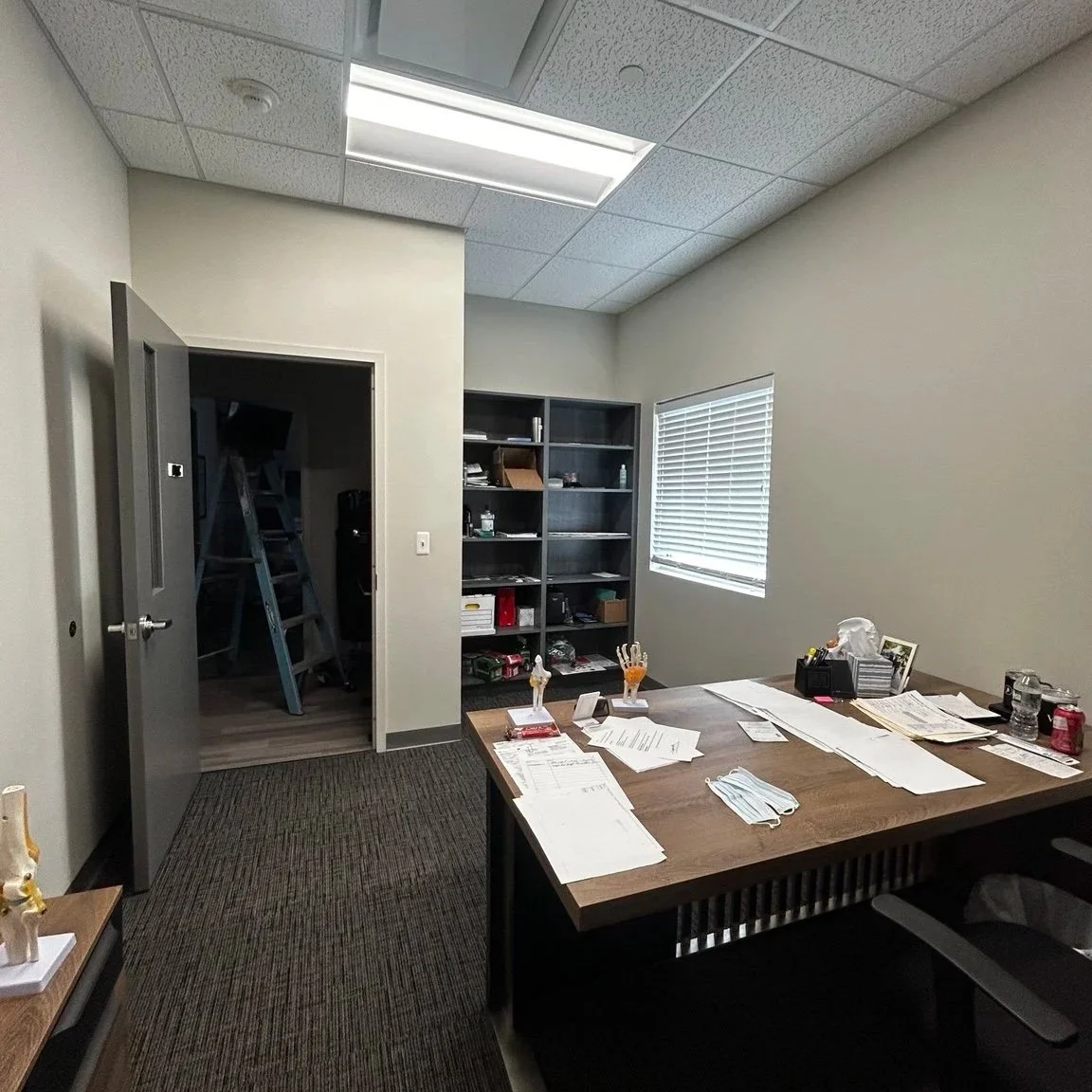 Office room with a cluttered desk, shelves, and a ladder in the doorway.