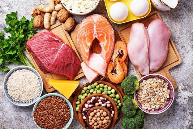The Importance of Protein