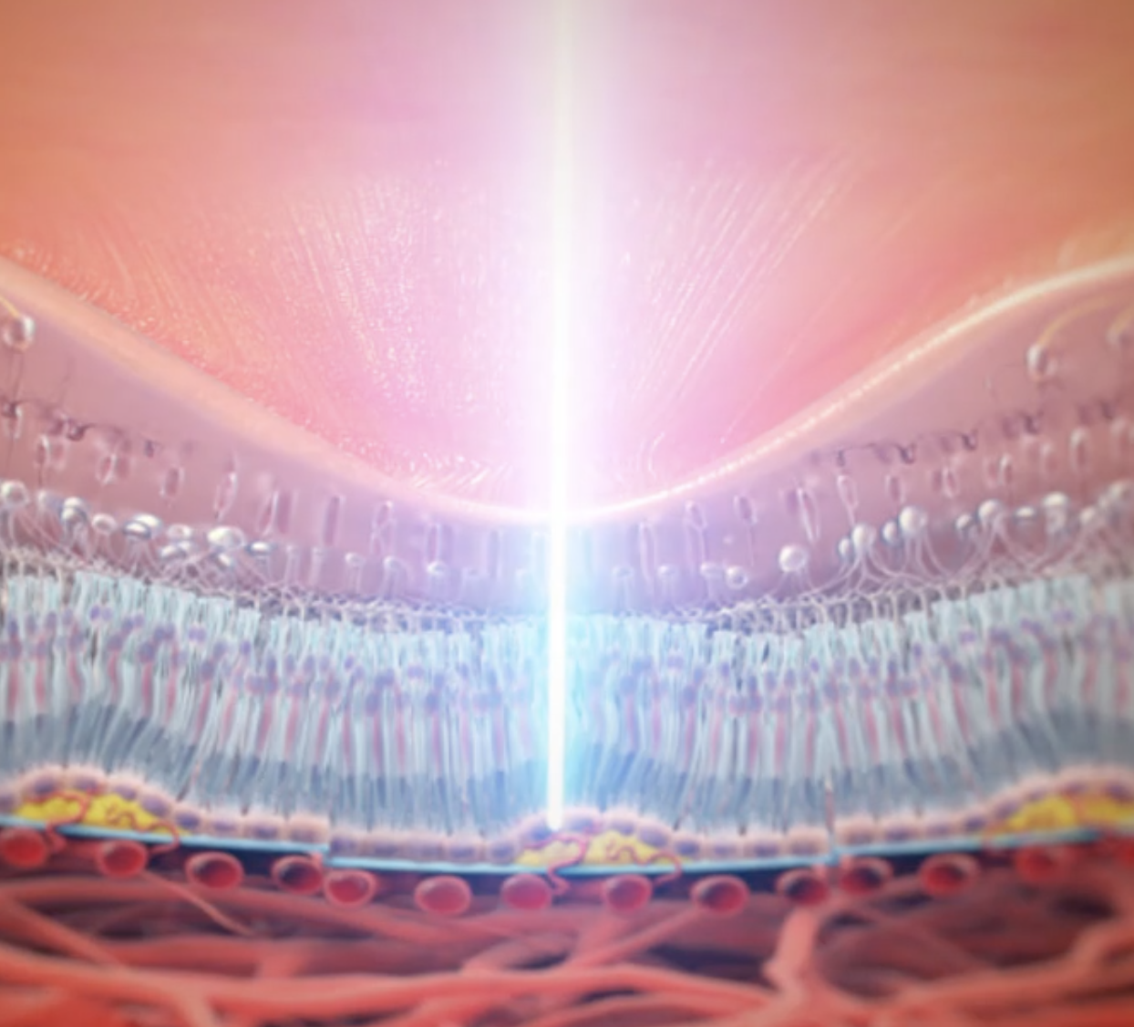 Close-up illustration of a human eye with a bright light shining through, revealing the eye's internal structures such as the iris, cornea, lens, and blood vessels.