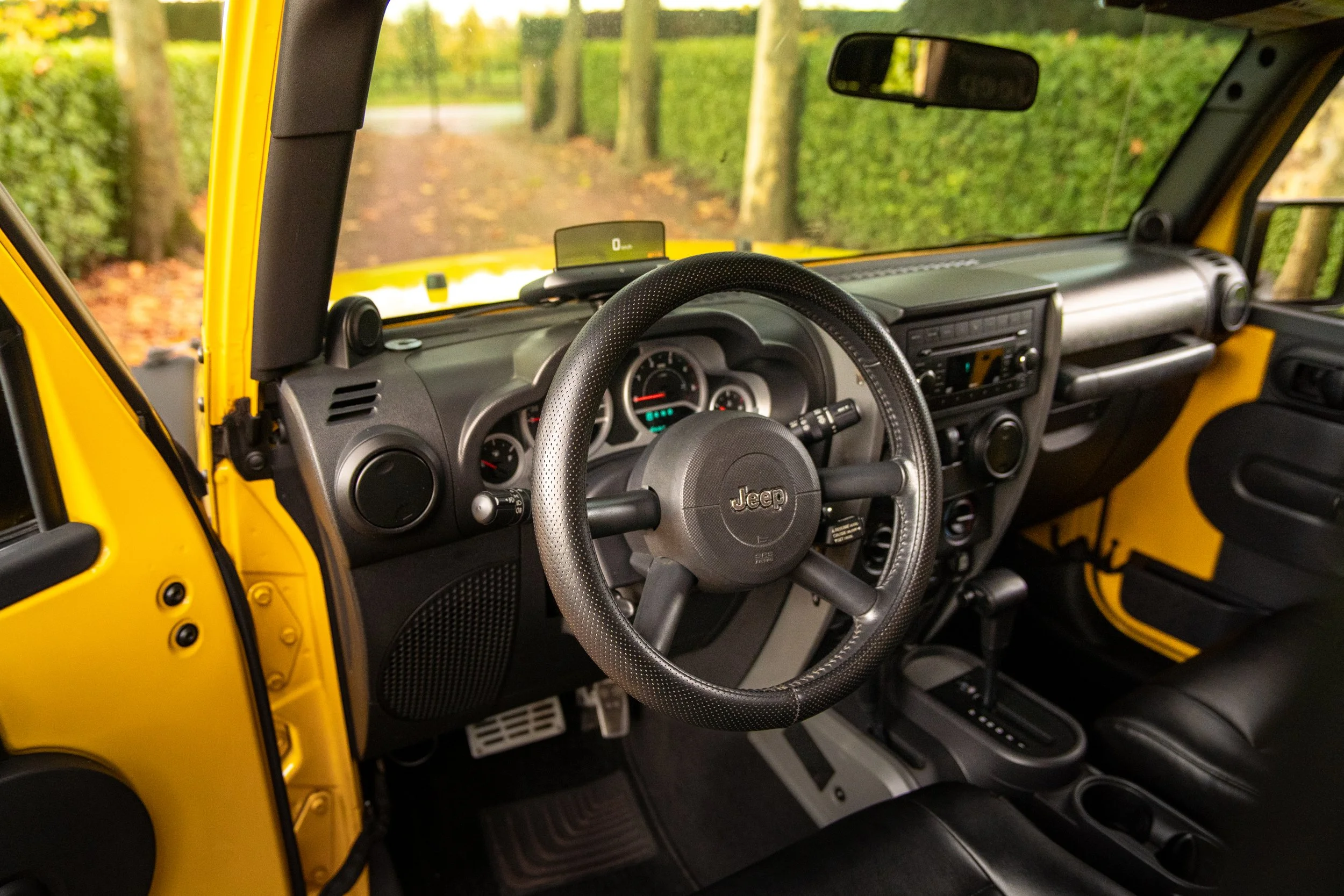 DSC08681.jpg