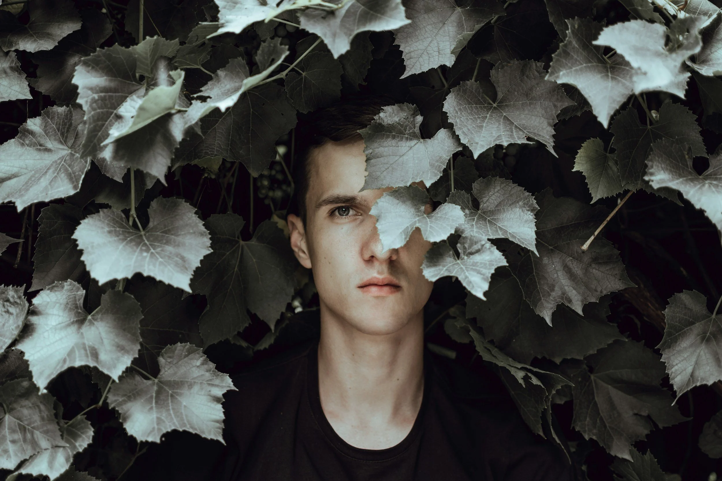 A man looking toward the camera, surrounded by dense leaves that partially cover his face.