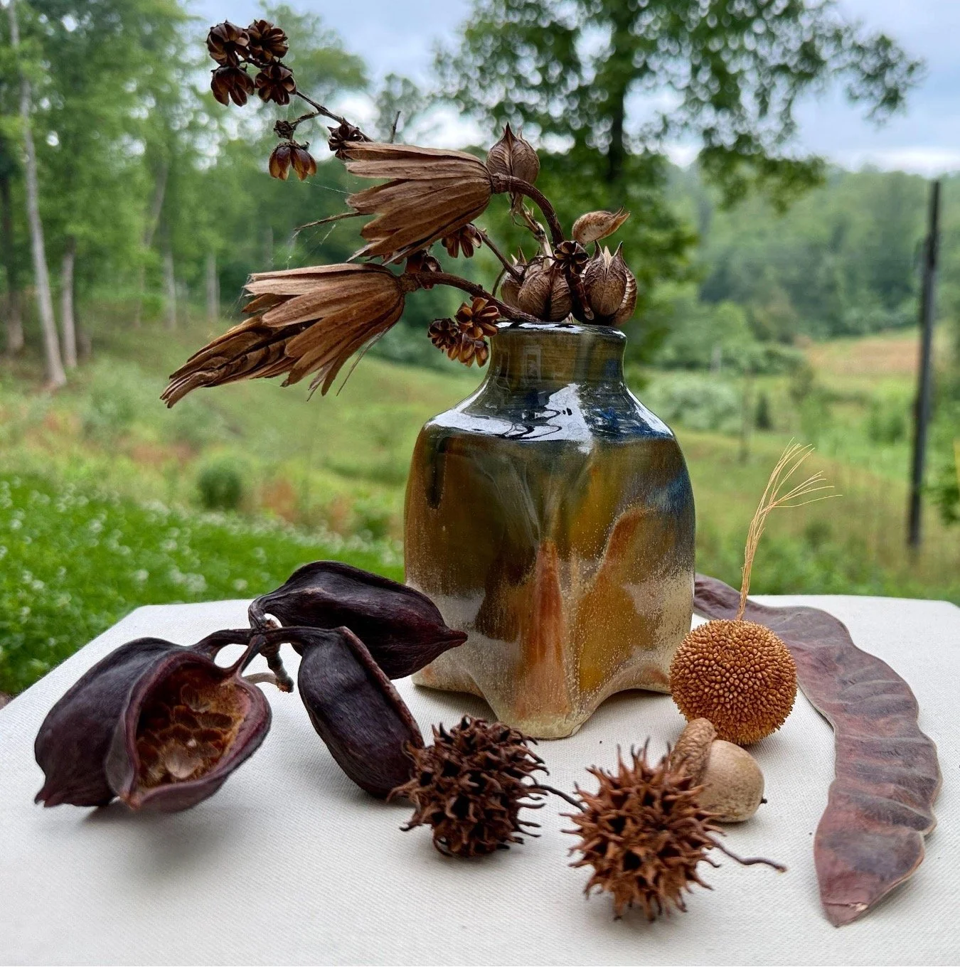 Seed pods used as imagery