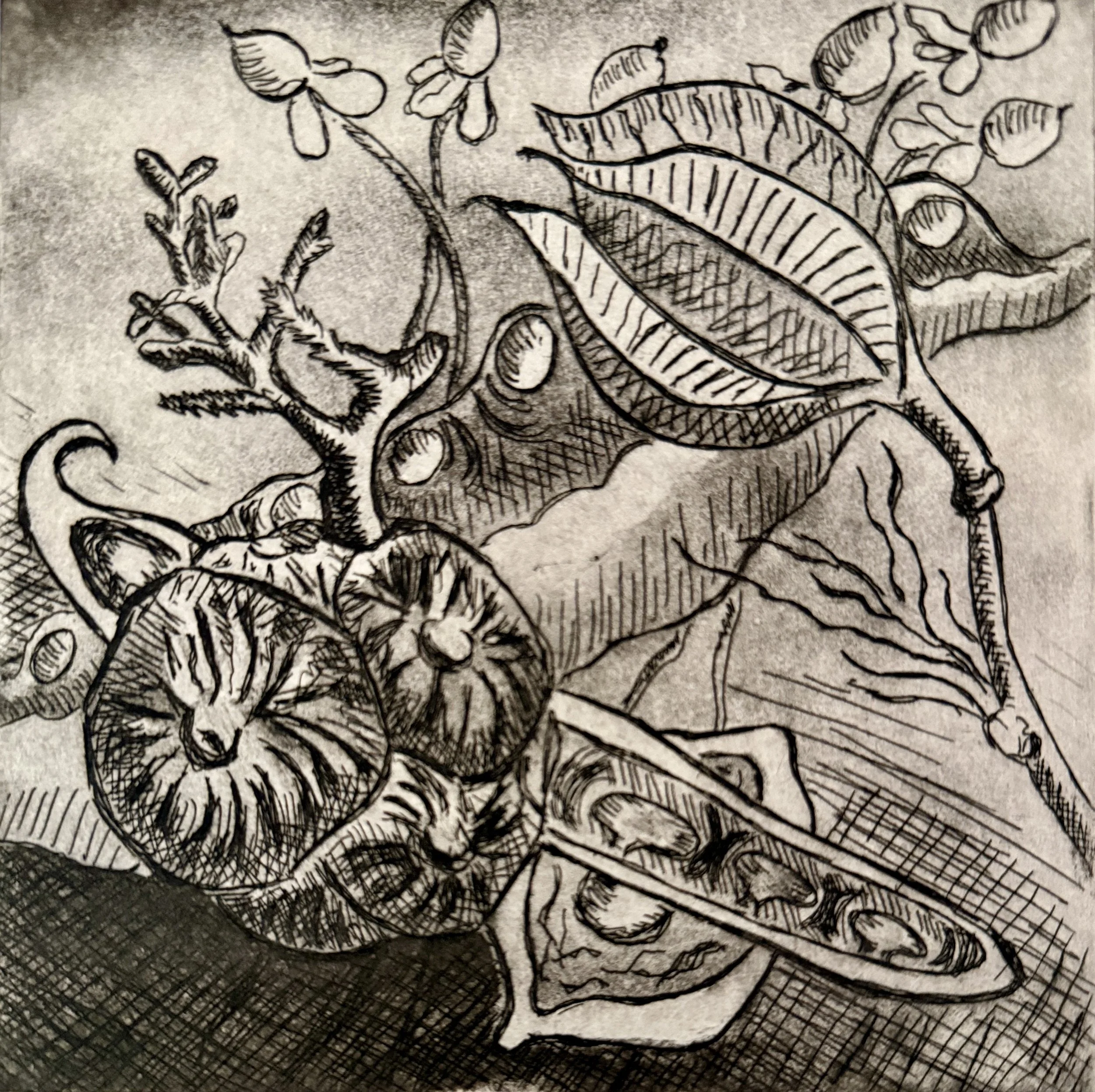 Diversity 2015  Limited edition etching  with aquatint   6 x 6   Available