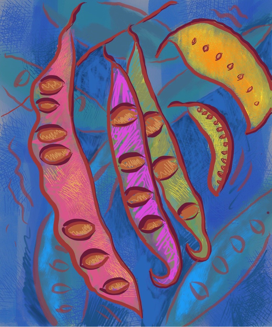 Cool Beans  2020 
4 x 5