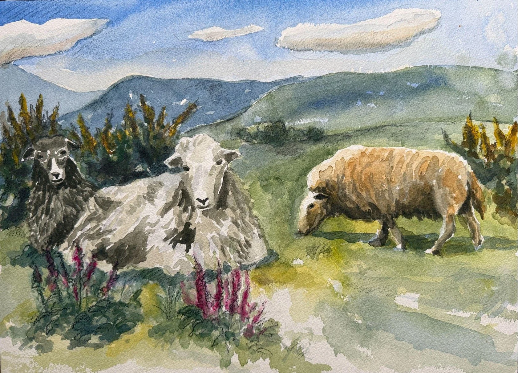 Watching & Grazing  2026 Watercolor 10 x 14 NFS