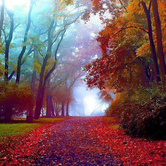 Mists & Mellow Fruitfulness (7-week course starting Thursday 10th September - 19:00 to 21:00)