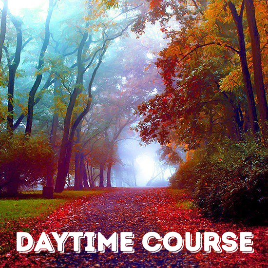 Daytime.png