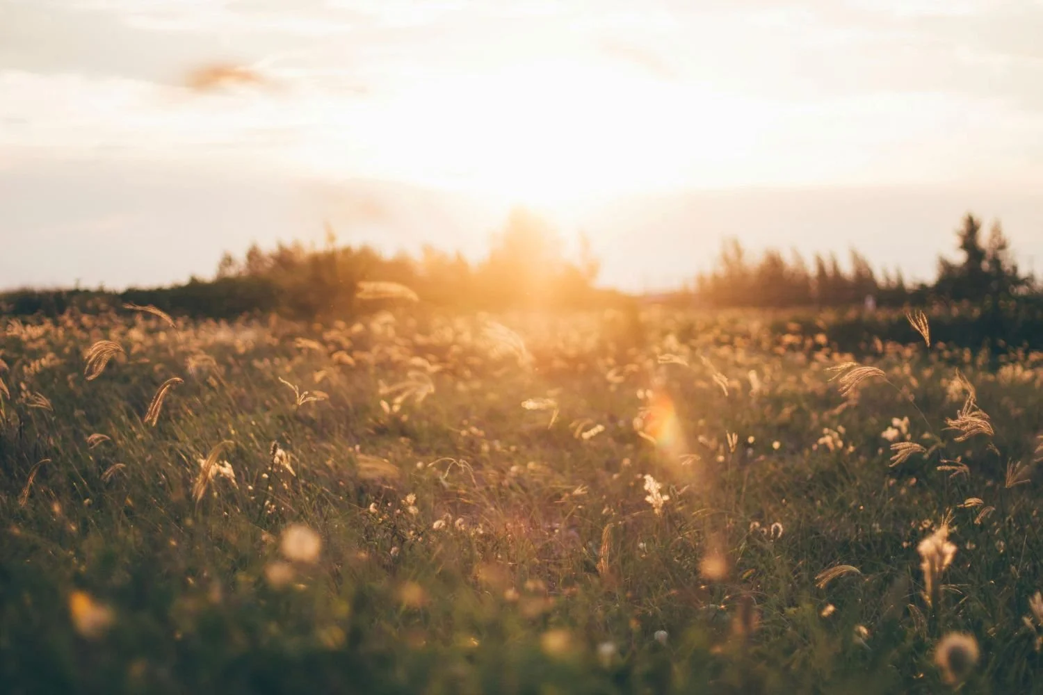 The menopause, one thing we can be certain of, is things change