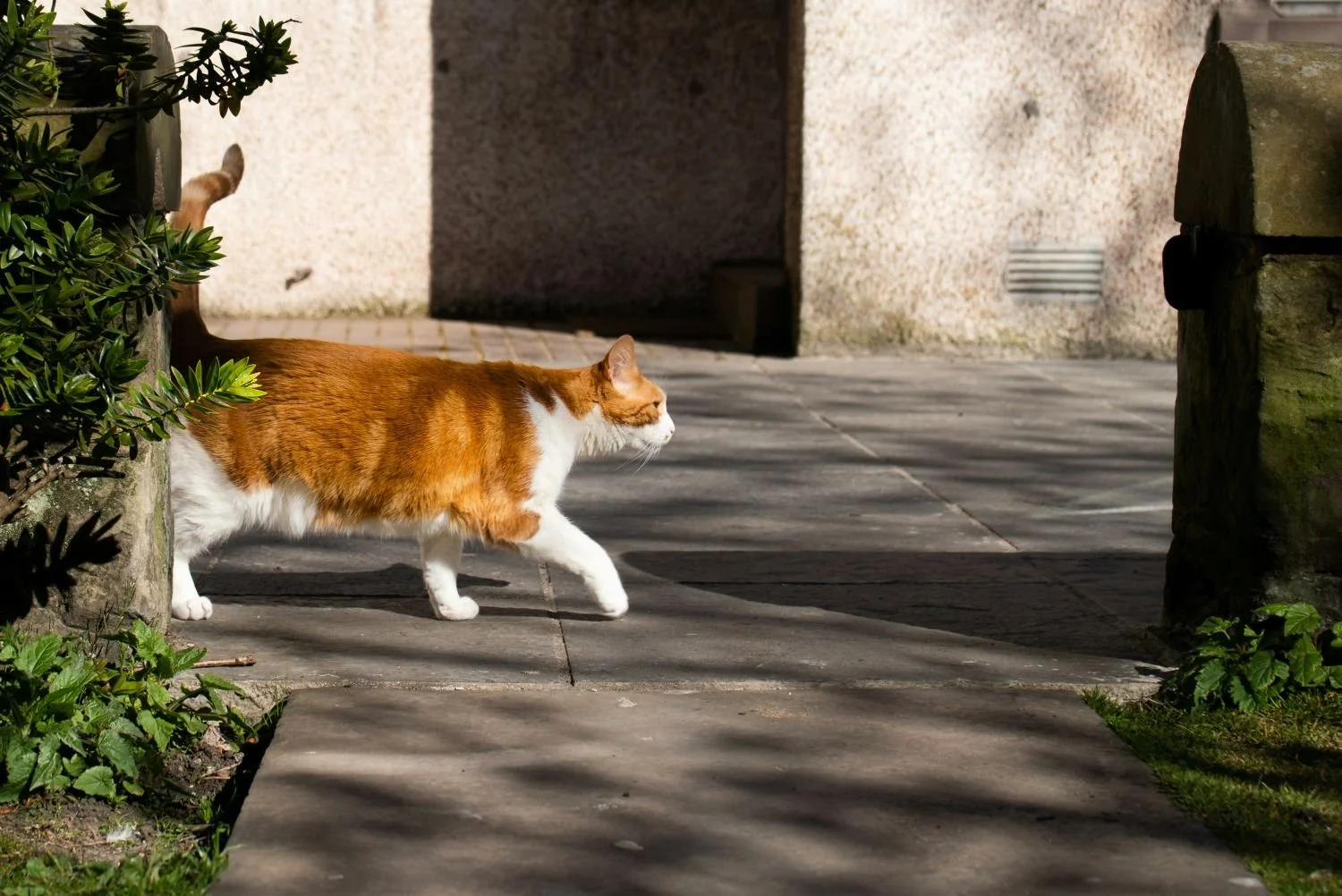 Walking on the Sunny Side of the street