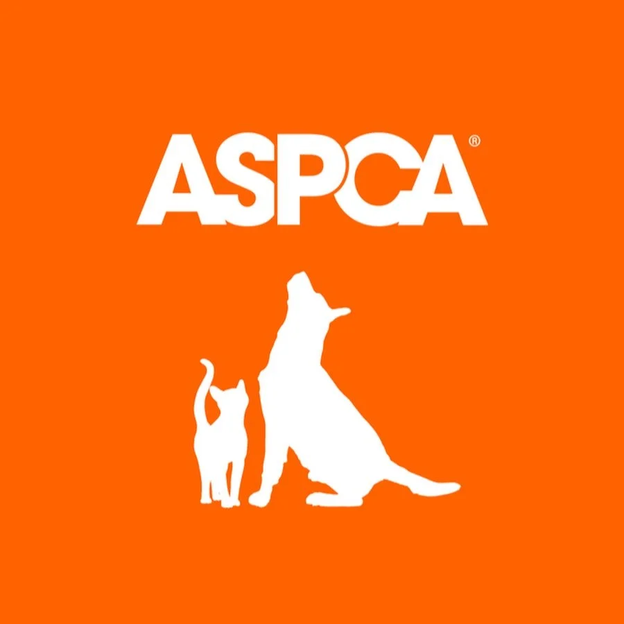 Orange background with the white ASPCA logo and silhouette of a dog and a cat.