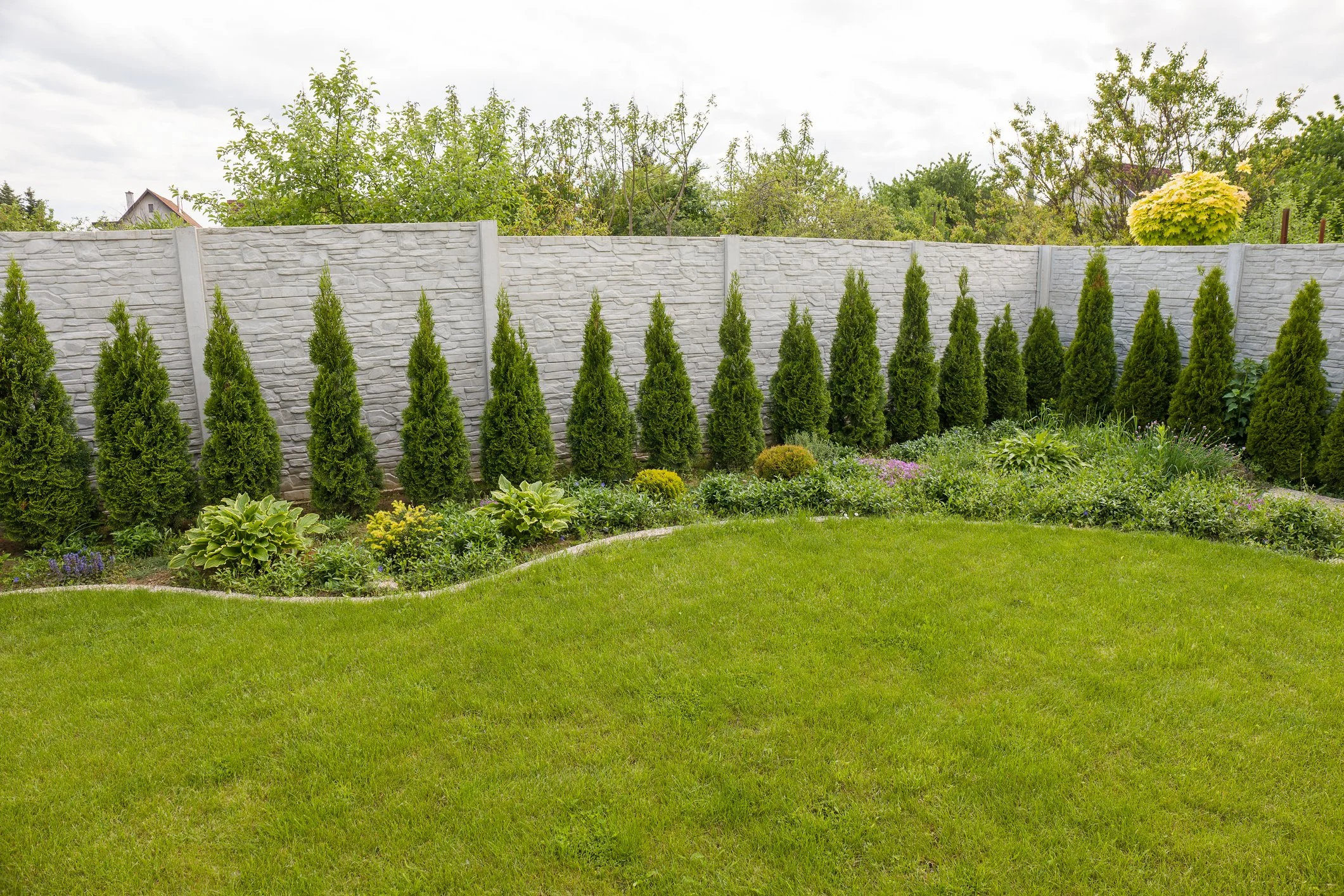 A backyard garden with a green lawn, small shrubs, and a gray stone fence, with trees and houses in the background under a partly cloudy sky.